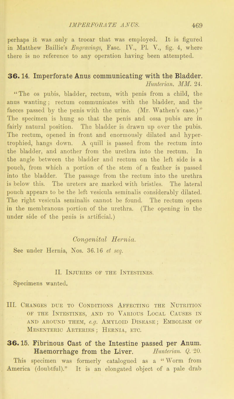 perhaps it was only a trocar that was employed. It is figured in Matthew Baillie’s Engravings, Fasc. IV., PI. V., fig. 4, where there is no reference to any operation having been attempted. 36.14. Imperforate Anus communicating- with the Bladder. Hunterian. MM. 24. “The os pubis, bladder, rectum, with penis from a child, the anus wanting; rectum communicates with the bladder, and the faeces passed by the penis with the urine. (Mr. Wathen’s case.)” The specimen is hung so that the penis and ossa pubis are in fairly natural position. The bladder is drawn up over the pubis. The rectum, opened in front and enormously dilated and hyper- trophied, hangs down. A quill is passed from the rectum into the bladder, and another from the urethra into the rectum. In the angle between the bladder and rectum on the left side is a pouch, from which a portion of the stem of a feather is passed into the bladder. The passage from the rectum into the urethra is below this. The ureters are marked with bristles. The lateral pouch appears to be the left vesicula seminalis considerably dilated. The right vesicula seminalis cannot be found. The rectum opens in the membranous portion of the urethra. (The opening in the under side of the penis is artificial.) Congenital Hernia. See under Hernia, Nos. 36.16 et seq. II. Injuries of the Intestines. Specimens wanted. III. Changes due to Conditions Affecting the Nutrition of the Intestines, and to Various Local Causes in AND AROUND THEM, e.g. AMYLOID DISEASE; EMBOLISM OF Mesenteric Arteries; Hernia, etc. 36.15. Fibrinous Cast of the Intestine passed per Anum. Haemorrhage from the Liver. Hunterian. Q. 20. This specimen was formerly catalogued as a “ Worm from America (doubtful).” It is an elongated object of a pale drab
