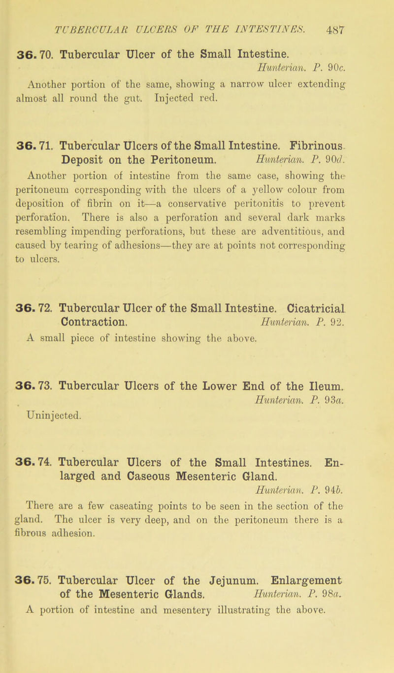 36.70. Tubercular Ulcer of the Small Intestine. Hunterian. P. 90c. Another portion of the same, showing a narrow ulcer extending almost all round the gut. Injected red. 36.71. Tubercular Ulcers of the Small Intestine. Fibrinous Deposit on the Peritoneum. Hunterian. P. 90c/. Another portion of intestine from the same case, showing the peritoneum corresponding with the ulcers of a yellow colour from deposition of fibrin on it—a conservative peritonitis to prevent perforation. There is also a perforation and several dark marks resembling impending perforations, but these are adventitious, and caused by tearing of adhesions—they are at points not corresponding to ulcers. 36. 72. Tubercular Ulcer of the Small Intestine. Cicatricial Contraction. Hunterian. P. 92. A small piece of intestine showing the above. 36. 73. Tubercular Ulcers of the Lower End of the Ileum. Uninjected. Hunterian. P. 93a. 36.74. Tubercular Ulcers of the Small Intestines. En- larged and Caseous Mesenteric Gland. Hunterian. P. 94b. There are a few caseating points to be seen in the section of the gland. The ulcer is very deep, and on the peritoneum there is a fibrous adhesion. 36.75. Tubercular Ulcer of the Jejunum. Enlargement of the Mesenteric Glands. Hunterian. P. 98a. A portion of intestine and mesentery illustrating the above.