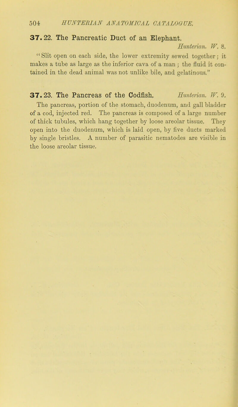 37.22. The Pancreatic Duct of an Elephant. Hunterian. W. 8. “ Slit open on each side, the lower extremity sewed together; it makes a tube as large as the inferior cava of a man ; the fluid it con- tained in the dead animal was not unlike bile, and gelatinous.” 37.23. The Pancreas of the Codfish. Hunterian. JV. 9. The pancreas, portion of the stomach, duodenum, and gall bladder of a cod, injected red. The pancreas is composed of a large number of thick tubules, which hang together by loose areolar tissue. They open into the duodenum, which is laid open, by five ducts marked by single bristles. A number of parasitic nematodes are visible in the loose areolar tissue.