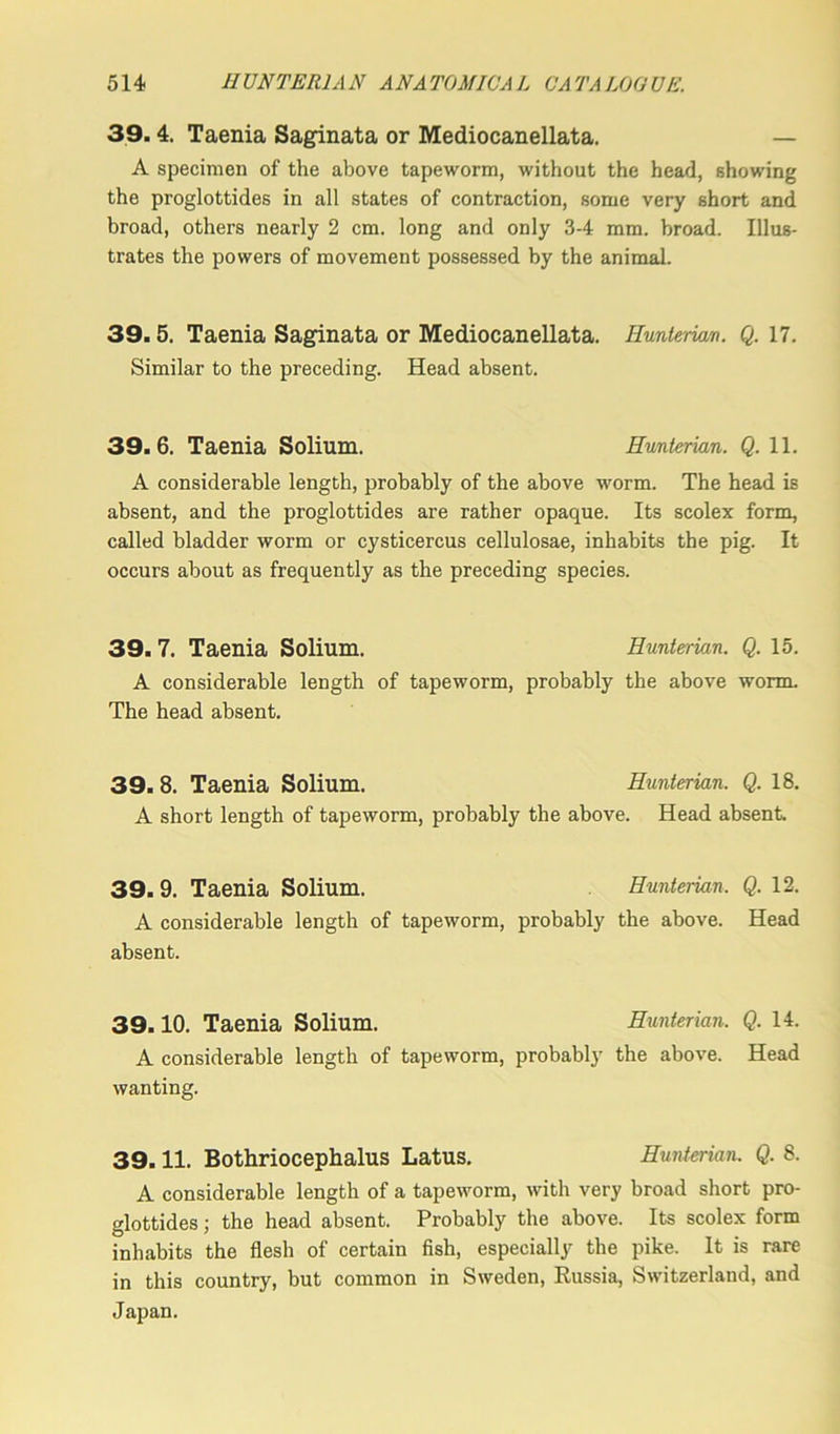 39.4. Taenia Saginata or Mediocanellata. — A specimen of the above tapeworm, without the head, showing the proglottides in all states of contraction, some very short and broad, others nearly 2 cm. long and only 3-4 mm. broad. Illus- trates the powers of movement possessed by the animal. 39.5. Taenia Saginata or Mediocanellata. Hunterian. Q. 17. Similar to the preceding. Head absent. 39.6. Taenia Solium. Hunterian. Q. 11. A considerable length, probably of the above worm. The head is absent, and the proglottides are rather opaque. Its scolex form, called bladder worm or cysticercus cellulosae, inhabits the pig. It occurs about as frequently as the preceding species. 39.7. Taenia Solium. Hunterian. Q. 15. A considerable length of tapeworm, probably the above worm. The head absent. 39.8. Taenia Solium. Hunterian. Q. 18. A short length of tapeworm, probably the above. Head absent 39.9. Taenia Solium. Hunterian. Q. 12. A considerable length of tapeworm, probably the above. Head absent. 39.10. Taenia Solium. Hunterian. Q. 14. A considerable length of tapeworm, probably the above. Head wanting. 39.11. Bothriocephalus Latus. Hunterian. Q. 8. A considerable length of a tapeworm, with very broad short pro- glottides ; the head absent. Probably the above. Its scolex form inhabits the flesh of certain fish, especially the pike. It is rare in this country, but common in Sweden, Russia, Switzerland, and Japan.