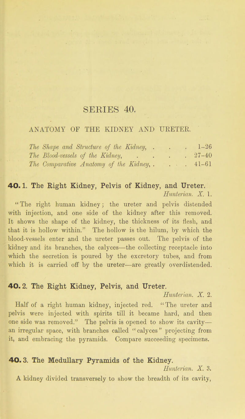 ANATOMY OF THE KIDNEY AND URETER. The Shape and Structure of the Kidney, . . . 1-26 The Blood-vessels of the Kidney, .... 27-40 The Comparative Anatomy of the Kidney, . . . 41-61 40.1. The Right Kidney, Pelvis of Kidney, and Ureter. Hunterian. X. 1. “ The right human kidney; the ureter and pelvis distended with injection, and one side of the kidney after this removed. It shows the shape of the kidney, the thickness of its flesh, and that it is hollow within.” The hollow is the hilum, by which the blood-vessels enter and the ureter passes out. The pelvis of the kidney and its branches, the calyces—the collecting receptacle into which the secretion is poured by the excretory tubes, and from which it is carried off by the ureter—are greatly overdistended. 40.2. The Right Kidney, Pelvis, and Ureter. Hunterian. X. 2. Half of a right human kidney, injected red. “ The ureter and pelvis were injected with spirits till it became hard, and then one side was removed.” The pelvis is opened to show its cavity— an irregular space, with branches called “calyces” projecting from it, and embracing the pyramids. Compare succeeding specimens. 40.3. The Medullary Pyramids of the Kidney. Hunterian. X. 3. A kidney divided transversely to show the breadth of its cavity,