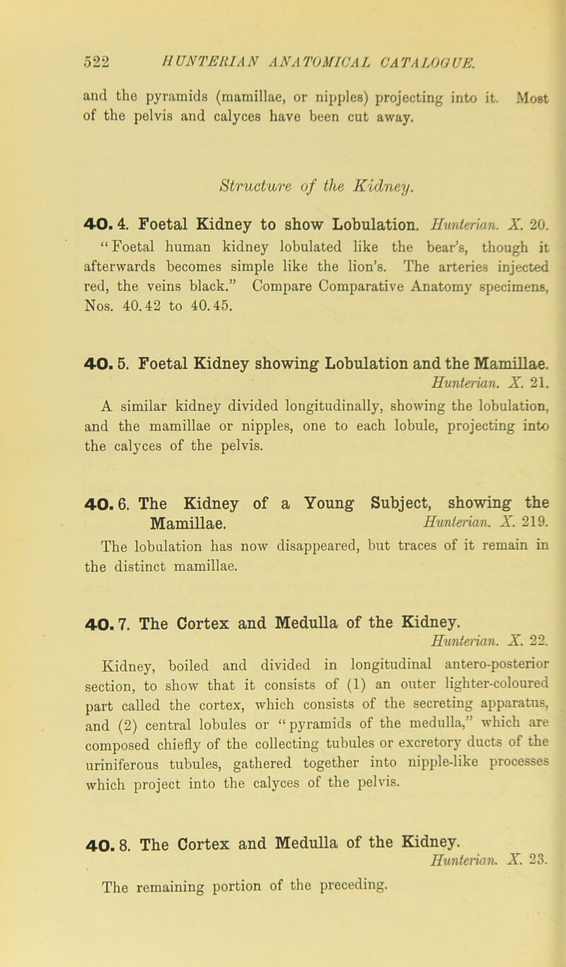and the pyramids (mamillae, or nipples) projecting into it. Most of the pelvis and calyces have been cut away. Structure, of the Kidney. 40. 4. Foetal Kidney to show Lobulation. Hunterian. X. 20. “Foetal human kidney lobulated like the bear’s, though it afterwards becomes simple like the lion’s. The arteries injected red, the veins black.” Compare Comparative Anatomy specimens, Nos. 40.42 to 40.45. 40.5. Foetal Kidney showing Lobulation and the Mamillae. Hunterian. X. 21. A similar kidney divided longitudinally, showing the lobulation, and the mamillae or nipples, one to each lobule, projecting into the calyces of the pelvis. 40.6. The Kidney of a Young Subject, showing the Mamillae. Hunterian. X. 219. The lobulation has now disappeared, but traces of it remain in the distinct mamillae. 40.7. The Cortex and Medulla of the Kidney. Hunterian. X. 22. Kidney, boiled and divided in longitudinal antero-posterior section, to show that it consists of (1) an outer lighter-coloured part called the cortex, which consists of the secreting apparatus, and (2) central lobules or “pyramids of the medulla,” which are composed chiefly of the collecting tubules or excretory ducts of the urinifercus tubules, gathered together into nipple-like processes which project into the calyces of the pelvis. 40.8. The Cortex and Medulla of the Kidney. Hunterian, X. 23. The remaining portion of the preceding.
