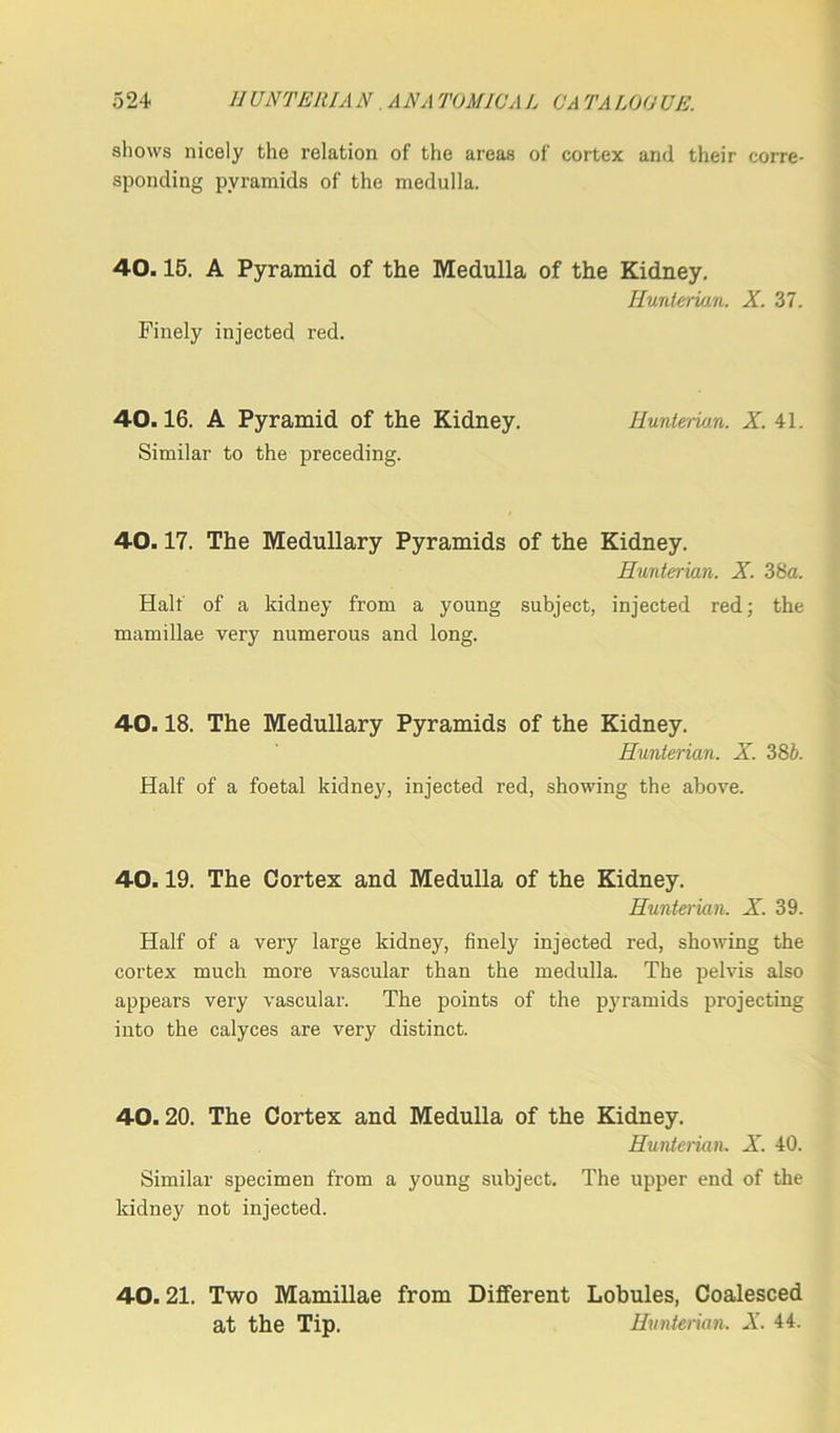 shows nicely the relation of the areas of cortex and their corre- sponding pyramids of the medulla. 40.15. A Pyramid of the Medulla of the Kidney. Hunterian. X. 37. Finely injected red. 40.16. A Pyramid of the Kidney. Hunterian. X. 41. Similar to the preceding. 40.17. The Medullary Pyramids of the Kidney. Hunterian. X. 38a. Half of a kidney from a young subject, injected red; the mamillae very numerous and long. 40.18. The Medullary Pyramids of the Kidney. Hunterian. X. 38b. Half of a foetal kidney, injected red, showing the above. 40.19. The Cortex and Medulla of the Kidney. Hunterian. X. 39. Half of a very large kidney, finely injected red, showing the cortex much more vascular than the medulla. The pelvis also appears very vascular. The points of the pyramids projecting into the calyces are very distinct. 40. 20. The Cortex and Medulla of the Kidney. Hunterian. X. 40. Similar specimen from a young subject. The upper end of the kidney not injected. 40.21. Two Mamillae from Different Lobules, Coalesced at the Tip. Hunterian. X. 44.
