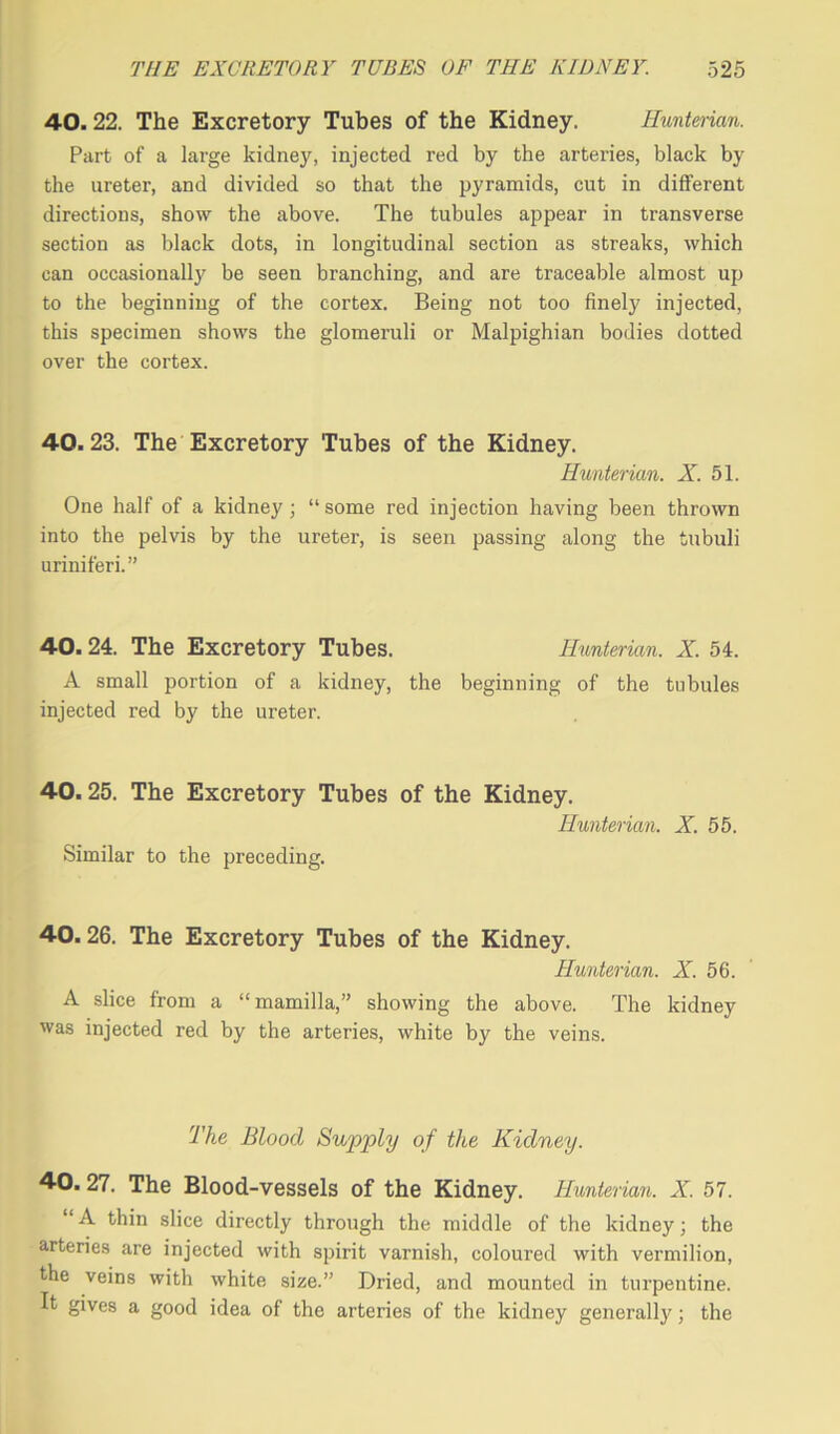 40.22. The Excretory Tubes of the Kidney. Hunterian. Part of a large kidney, injected red by the arteries, black by the ureter, and divided so that the pyramids, cut in different directions, show the above. The tubules appear in transverse section as black dots, in longitudinal section as streaks, which can occasionally be seen branching, and are traceable almost up to the beginning of the cortex. Being not too finely injected, this specimen shows the glomeruli or Malpighian bodies dotted over the cortex. 40.23. The Excretory Tubes of the Kidney. Hunterian. X. 51. One half of a kidney ; “ some red injection having been thrown into the pelvis by the ureter, is seen passing along the tubuli uriniferi.” 40.24. The Excretory Tubes. Hunterian. X. 54. A small portion of a kidney, the beginning of the tubules injected red by the ureter. 40.25. The Excretory Tubes of the Kidney. Hunterian. X. 55. Similar to the preceding. 40.26. The Excretory Tubes of the Kidney. Hunterian. X. 56. A slice from a “mamilla,” showing the above. The kidney was injected red by the arteries, white by the veins. The Blood Supply of the Kidney. 40.27. The Blood-vessels of the Kidney. Hunterian. X. 57. “A thin slice directly through the middle of the kidney; the arteries are injected with spirit varnish, coloured with vermilion, the veins with white size.” Dried, and mounted in turpentine. It gives a good idea of the arteries of the kidney generally; the