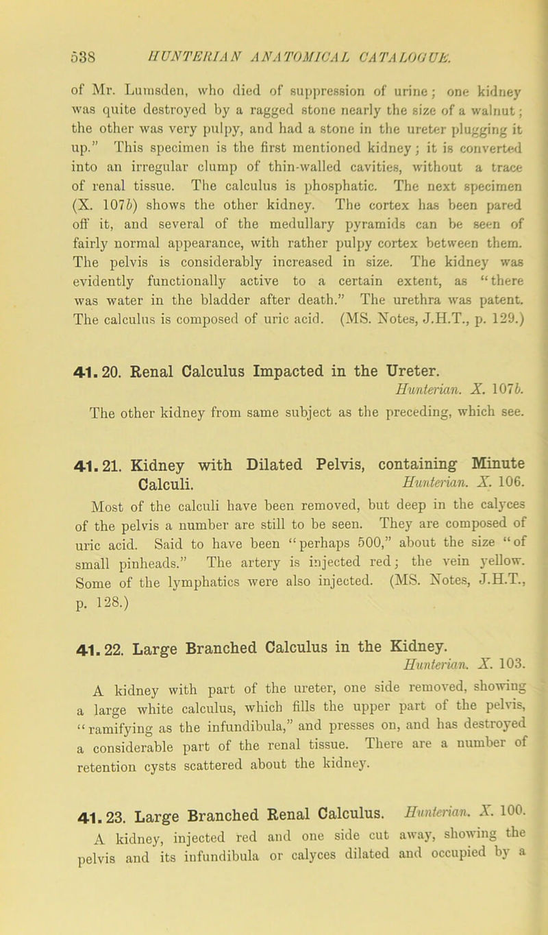 of Mr. Lumsden, who died of suppression of urine; one kidney was quite destroyed by a ragged stone nearly the size of a walnut; the other was very pulpy, and had a stone in the ureter plugging it up.” This specimen is the first mentioned kidney; it is converted into an irregular clump of thin-walled cavities, without a trace of renal tissue. The calculus is phosphatic. The next specimen (X. 107&) shows the other kidney. The cortex has been pared oft' it, and several of the medullary pyramids can be seen of fairly normal appearance, with rather pulpy cortex between them. The pelvis is considerably increased in size. The kidney was evidently functionally active to a certain extent, as “there was water in the bladder after death.” The urethra was patent. The calculus is composed of uric acid. (MS. Notes, J.H.T., p. 129.) 41.20. Renal Calculus Impacted in the Ureter. Hunterian. X. 107b. The other kidney from same subject as the preceding, which see. 41.21. Kidney with Dilated Pelvis, containing Minute Calculi. Hunterian. X. 106. Most of the calculi have been removed, but deep in the calyces of the pelvis a number are still to be seen. They are composed of uric acid. Said to have been “perhaps 500,” about the size “of small pinheads.” The artery is injected red; the vein yellow. Some of the lymphatics were also injected. (MS. Notes, J.H.T., p. 128.) 41.22. Large Branched Calculus in the Kidney. Hunterian. X. 103. A kidney with part of the ureter, one side removed, showing a large white calculus, which fills the upper part of the pelvis, “ramifying as the infundibula,” and presses on, and has destroyed a considerable part of the renal tissue. There are a number of retention cysts scattered about the kidney. 41.23. Large Branched Renal Calculus. Hunterian, X. 100. A kidney, injected red and one side cut away, shoving the pelvis and its infundibula or calyces dilated and occupied by a
