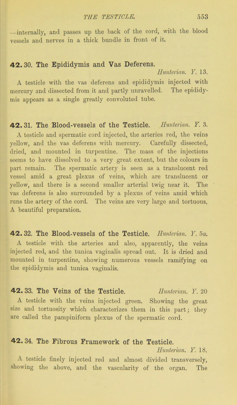 —internally, and passes up the back of the cord, with the blood vessels and nerves in a thick bundle in front of it. 42.30. The Epididymis and Vas Deferens. Hunterian. Y. 13. A testicle with the vas deferens and epididymis injected with mercury and dissected from it and partly unravelled. The epididy- mis appears as a single greatly convoluted tube. 42. 31. The Blood-vessels of the Testicle. Hunterian. Y. 3. A testicle and spermatic cord injected, the arteries red, the veins yellow, and the vas deferens with mercury. Carefully dissected, dried, and mounted in turpentine. The mass of the injections seems to have dissolved to a very great extent, but the colours in part remain. The spermatic artery is seen as a translucent red vessel amid a great plexus of veins, which are translucent or yellow, and there is a second smaller arterial twig near it. The vas deferens is also surrounded by a plexus of veins amid which runs the artery of the cord. The veins are very large and tortuous. A beautiful preparation. 42.32. The Blood-vessels of the Testicle. Hunterian. Y. 5a. A testicle with the arteries and also, apparently, the veins injected red, and the tunica vaginalis spread out. It is dried and mounted in turpentine, showing numerous vessels ramifying on the epididymis and tunica vaginalis. 42.33. The Veins of the Testicle. Hunterian. Y. 20 A testicle with the veins injected green. Showing the great size and tortuosity which characterizes them in this part; they are called the pampiniform plexus of the spermatic cord. 42. 34. The Fibrous Framework of the Testicle. Hunterian. Y. 18. A testicle finely injected red and almost divided transversely, showing the above, and the vascularity of the organ. The