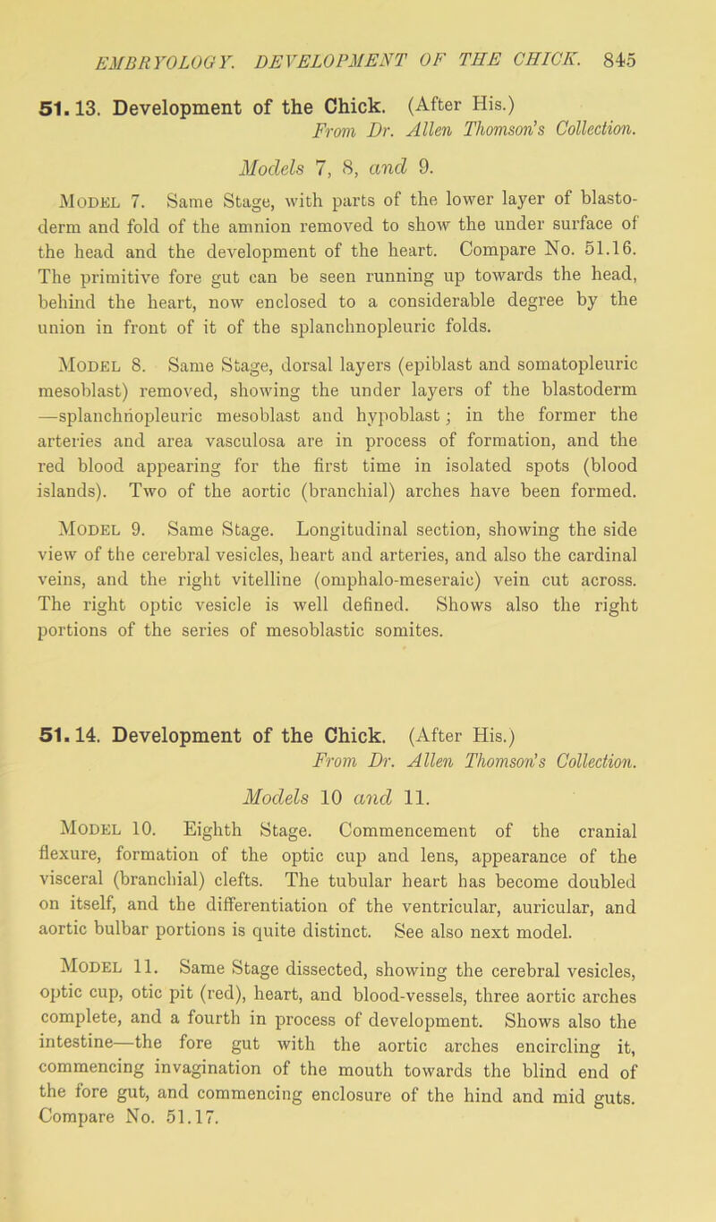 51.13. Development of the Chick. (After His.) From Dr. Allen Thomson’s Collection. Models 7, <8, and 9. Model 7. Same Stage, with parts of the lower layer of blasto- derm and fold of the amnion removed to show the under surface oi the head and the development of the heart. Compare No. 51.16. The primitive fore gut can be seen running up towards the head, behind the heart, now enclosed to a considerable degree by the union in front of it of the splanchnopleuric folds. Model 8. Same Stage, dorsal layers (epiblast and somatopleuric mesoblast) removed, showing the under layers of the blastoderm —splanchnopleuric mesoblast and hypoblast; in the former the arteries and area vasculosa are in process of formation, and the red blood appearing for the first time in isolated spots (blood islands). Two of the aortic (branchial) arches have been formed. Model 9. Same Stage. Longitudinal section, showing the side view of the cerebral vesicles, heart and arteries, and also the cardinal veins, and the right vitelline (omphalo-meseraic) vein cut across. The right optic vesicle is well defined. Shows also the right portions of the series of mesoblastic somites. 51.14. Development of the Chick. (After His.) From Dr. Allen Thomson’s Collection. Models 10 and 11. Model 10. Eighth Stage. Commencement of the cranial flexure, formation of the optic cup and lens, appearance of the visceral (branchial) clefts. The tubular heart has become doubled on itself, and the differentiation of the ventricular, auricular, and aortic bulbar portions is quite distinct. See also next model. Model 11. Same Stage dissected, showing the cerebral vesicles, optic cup, otic pit (red), heart, and blood-vessels, three aortic arches complete, and a fourth in process of development. Shows also the intestine—the fore gut with the aortic arches encircling it, commencing invagination of the mouth towards the blind end of the fore gut, and commencing enclosure of the hind and mid guts. Compare No. 51.17.