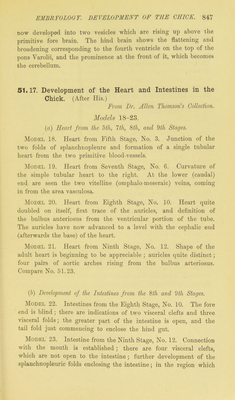 now developed into two vesicles which are rising up above the primitive fore brain. The hind brain shows the flattening and broadening corresponding to the fourth ventricle on the top of the pons Yarolii, and the prominence at the front of it, which becomes the cerebellum. 51.17. Development of the Heart and Intestines in the Chick. (After His.) From Dr. Allen Thomson's Collection. Models 18-23. (a) Heart from the 5th, 7th, 8th, and 9tli Stages. Model 18. Heart from Fifth Stage, No. 3. Junction of the two folds of splanchnopleure and formation of a single tubular heart from the two primitive blood-vessels. Model 19. Heart from Seventh Stage, No. 6. Curvature of the simple tubular heart to the right. At the lower (caudal) end are seen the two vitelline (omphalo-meseraic) veins, coming in from the area vasculosa. Model 20. Heart from Eighth Stage, No. 10. Heart quite doubled on itself, first trace of the auricles, and definition of the bulbus anteriosus from the ventricular portion of the tube. The auricles have now advanced to a level with the cephalic end (afterwards the base) of the heart. Model 21. Heart from Ninth Stage, No. 12. Shape of the adult heart is beginning to be appreciable ; auricles quite distinct; four pairs of aortic arches rising from the bulbus arteriosus. Compare No. 51.23. (b) Development of the Intestines from the 8th and 9th Stages. Model 22. Intestines from the Eighth Stage, No. 10. The fore end is blind; there are indications of two visceral clefts and three visceral folds; the greater part of the intestine is open, and the tail fold just commencing to enclose the hind gut. Model 23. Intestine from the Ninth Stage, No. 12. Connection with the mouth is established; there are four visceral clefts, which are not open to the intestine ; further development of the splanchnopleuric folds enclosing the intestine; in the region which