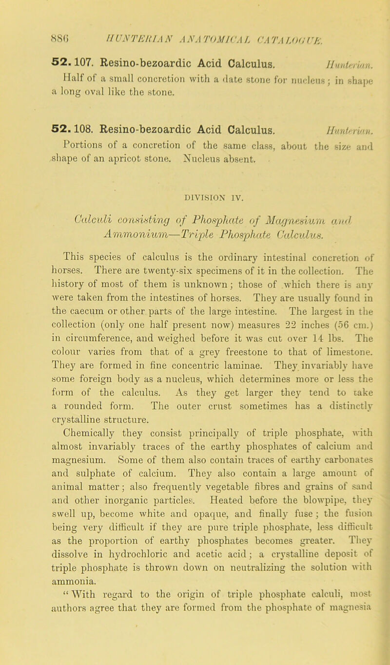 52.107. Resino-bezoardic Acid Calculus. Hunterian. Half of a small concretion with a date stone for nucleus; in shape a long oval like the stone. 52.108. Resino-bezoardic Acid Calculus. Huntnian. Portions of a concretion of the same class, about the size and shape of an apricot stone. Nucleus absent. DIVISION iv. Calculi consisting of Phosphate of Magnesium an<l Ammonium—Triple Phosphate Calculus. This species of calculus is the ordinary intestinal concretion of horses. There are twenty-six specimens of it in the collection. The history of most of them is unknown; those of which there is any were taken from the intestines of horses. They are usually found in the caecum or other parts of the large intestine. The largest in the collection (only one half present now) measures 22 inches (56 cm.) in circumference, aud weighed before it was cut over 14 lbs. The colour varies from that of a grey freestone to that of limestone. They are formed in fine concentric laminae. They invariably have some foreign body as a nucleus, which determines more or less the form of the calculus. As they get larger they tend to cake a rounded form. The outer crust sometimes has a distinctly crystalline structure. Chemically they consist principally of triple phosphate, with almost invariably traces of the earthy phosphates of calcium and magnesium. Some of them also contain traces of earthy carbonates and sulphate of calcium. They also contain a large amount of animal matter; also frequently vegetable fibres and grains of sand and other inorganic particles. Heated before the blowpipe, they swell up, become white and opaque, and finally fuse ; the fusion being very difficult if they are pure triple phosphate, less difficult as the proportion of earthy phosphates becomes greater. They dissolve in hydrochloric and acetic acid; a crystalline deposit of triple phosphate is thrown down on neutralizing the solution with ammonia. “ With regard to the origin of triple phosphate calculi, most authors agree that they are formed from the phosphate of magnesia