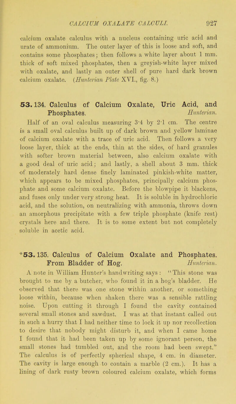 calcium oxalate calculus with a nucleus containing uric acid and urate of ammonium. The outer layer of this is loose and soft, and contains some phosphates; then follows a white layer about 1 mm. thick of soft mixed phosphates, then a greyish-white layer mixed with oxalate, and lastly an outer shell of pure hard dark brown calcium oxalate. (Hunterian Plate XVI., fig. 8.) 53.134. Calculus of Calcium Oxalate, Uric Acid, and Phosphates. Hunterian. Half of an oval calculus measuring 3‘4 by 2T cm. The centre is a small oval calculus built up of dark brown and yellow laminae of calcium oxalate with a trace of uric acid. Then follows a very loose layer, thick at the ends, thin at the sides, of hard granules with softer brown material between, also calcium oxalate with a good deal of uric acid; and lastly, a shell about 3 mm. thick of moderately hard dense finely laminated pinkish-white matter, which appears to be mixed phosphates, principally calcium phos- phate and some calcium oxalate. Before the blowpipe it blackens, and fuses only under very strong heat. It is soluble in hydrochloric acid, and the solution, on neutralizing with ammonia, throws down an amorphous precipitate with a few triple phosphate (knife rest) crystals here and there. It is to some extent but not completely soluble in acetic acid. *53.135. Calculus of Calcium Oxalate and Phosphates. From Bladder of Hog. Hunterian. A note in William Hunter’s handwriting says : “ This stone was brought to me by a butcher, who found it in a hog’s bladder. He observed that there was one stone within another, or something loose within, because when shaken there was a sensible rattling noise. Upon cutting it through I found the cavity contained several small stones and sawdust. I was at that instant called out in such a hurry that I had neither time to lock it up nor recollection to desire that nobody might disturb it, and when I came home I found that it had been taken up by some ignorant person, the small stones had tumbled out, and the room had been swept.” The calculus is of perfectly spherical shape, 4 cm. in diameter. The cavity is large enough to contain a marble (2 cm.). It has a lining of dark rusty brown coloured calcium oxalate, which forms