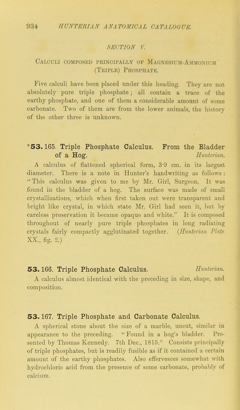 SECTION V. Calculi composed principally of Magnesium-Ammonium (Triple) Phosphate. Five calculi have been placed under this heading. They are not absolutely pure triple phosphate; all contain a trace of the earthy phosphate, and one of them a considerable amount of some carbonate. Two of them are from the lower animals, the history of the other three is unknown. *53.165. Triple Phosphate Calculus. From the Bladder of a Hog. Hunterian. A calculus of flattened spherical form, 3'9 cm. in its largest diameter. There is a note in Hunter’s handwriting as follows : “ This calculus was given to me by Mr. Girl, Surgeon, It was found in the bladder of a hog. The surface was made of small crystallizations, which when first taken out were transparent and bright like crystal, in which state Mr. Girl had seen it, but by careless preservation it became opaque and white.” It is composed throughout of nearly pure triple phosphates in long radiating crystals fairly compactly agglutinated together. (Hunterian Plate XX., fig. 2.) 53.166. Triple Phosphate Calculus. Hunterian. A calculus almost identical with the preceding in size, shape, and composition. 53.167. Triple Phosphate and Carbonate Calculus. A spherical stone about the size of a marble, uncut, similar in appearance to the preceding. “ Found in a hog’s bladder. Pre- sented by Thomas Kennedy. 7th Dec., 1815.” Consists principally of triple phosphates, but is readily fusible as if it contained a certain amount of the earthy phosphates. Also effervesces somewhat with hydrochloric acid from the presence of some carbonate, probably of calcium.