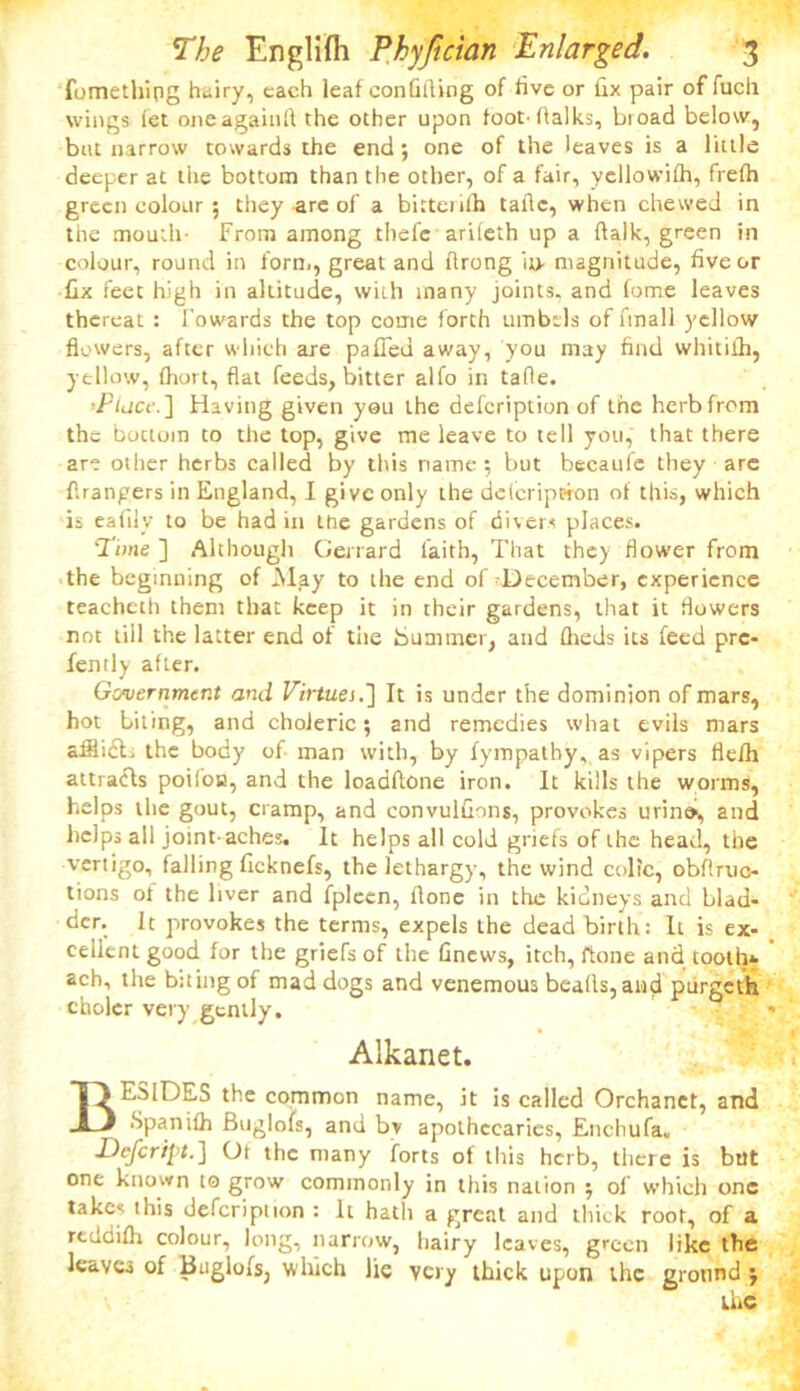 fomethipg hairy, each leaf conGfting of five or fix pair of fuch wings fet oneagainfl the other upon foot-Gaiks, broad below, but narrow towards the end; one of the leaves is a little deeper at the bottom than the other, of a fair, yellowilh, frefh green colour ; they-are of a bittenlh tafic, when chewed in the mouth- From among thefe arileth up a Gaik, green in colour, round in torn,, great and firong in- magnitude, five or fix feet high in altitude, with many joints, and fome leaves thereat : Towards the top come forth umbels of fmall yellow flowers, after which are palled away, you may find whitilh, yellow, fliort, flat feeds, bitter alfo in tafle. ■Place. ] Having given you the deicription of the herb from the boctom to the top, give me leave to tell you, that there are other herbs called by this name ; but becaufe they are Grangers in England, I give only the delcripwon of this, which is eafily to be had in the gardens of divers places. Time ] Although Gerrard faith, That they flower from the beginning of M,ay to the end of December, experience teacheth them that keep it in their gardens, that it flowers not till the latter end of tiie bummer, and fheds its feed pre- fently after. Government and Virtues.'] It is under the dominion of mars, hot biting, and choleric; and remedies what evils mars afflidh the body of man with, by fympatby, as vipers flefh attracts poifos, and the loadftone iron. It kills the worms, helps the gout, cramp, and convulfions, provokes urin», and helps all joint-aches. It helps all cold griefs of the head, the vertigo, falling ficknefs, the lethargy, the wind colic, obftruc- tions of the liver and fplccn, Gone in the kidneys and blad- der. It provokes the terms, expels the dead birth: It is ex- cellent good for the griefs of the finews, itch, Gone and tooth*, acb, the biting of mad dogs and venemous bealls, and purgeth cholcr very gently. Alkanet. BESIDES the common name, it is called Orchanet, and Spanifh Buglois, and by apothecaries, Enchufa. JDcJcript.] Ot the many forts of this herb, there is but one known to grow commonly in this nation ; of which one takes this defcription : it hath a great and thick root, of a reddifh colour, long, narrow, hairy leaves, green like the leaves of Buglois, which lie very thick upon the grotihd;