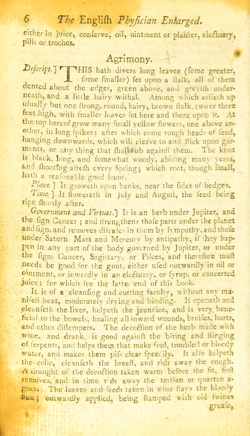 other in juice, conferve, oil, ointment or plainer, electuary, pills or.troches. Agrimony. Defcript.] fl ''HIS hath divers long leaves (fome greater, JL fome fmaller) fet upon-a fialk, all of them dented about the edge?, green above, and greyilh under- neath, and a little hairy withal. Among which arifeth up ufually but one Arong, round, hairy, brown Aalk. twoor rhree feet high, with fmaller leaves fet here and there upon it. At the top hereof grow many fmall yellow flower?, one above an- other, in long (pikes: after which come rough head? of feed, hanging downwards, which wiL cleave to and flick upon gar- ments, or any thing that flialbtfob againfl them. The knot is black, long, and fomewhat woody, abiding many years, and Ihocffng afrtfh every Spring; which root, though fmall, hath a reafonable good feenr. - ‘Vce ] It groweth upon banks, near the Gdes of hedges. ‘Tone ] It floweieth in July and Augull, the feed being ripe fh-.nly after. Government and l^irtues.'] Iris an herb under Jupiter, and the Ggn Cancer ; and ltrengthens thofe parts under the planet andGgn. and removes dilcaft- in them by fympathy.and thole under Saturn Mars and Mercury by antipathy, if they hap- pen in any part of the body governed by Jupiter, or under the figns Cancer, Sagittary, or Pifces, and theiefore mud needs be good for the gout, either ufed outwardly in oil or o'ntment, or inwardly in an electuary, or fyrup, or concerted juice; for which fee the latter end of this book. It is of a cleanGng and cutting facuhv, without any rna- nifeil heat, moderately drying and binding- It epeneth and cleanfeth the liver, helpeth the jaundice, and is very bene- ficial to the bowel?, healing all inward wounds, bridles, hurts, and other diflempers. The dececlion of the herb made with wine, and drank, is good againfl the “biting and flinging of ferpent?, and helps them that make foul, troubled or bloody water, and makes them pifs clear fpeedily. It alfo helpeth the colic, cleanfeth the bread, and rids away the cough. A draught of tire decofUon taken warm before the fit, firft removes, and in time rids away the tertian or quartan a- gucs. The leaves and-feeds taken in wine flays the bloody ; outwardly applied, being damped with old twines greafe,