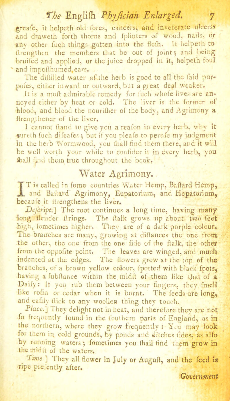 grcafe, it helpeth old fores, cancers} and inveterate u7cersi> and draweth forth thorns and lplinters of wood, nails, or any other fuch things gotten into the flefh. It helpeth to flrengthen the rnembers that be out of joint} and being bruifed and applied, or the juice dropped in it, helpeth foul ' and impoflhumed,ea>\s. The diflilled water of the herb is good to all the faid pur- pofes, either inward or outward, but a great deal weaker. It is a moll admirable remedy for fuch whofe lives are an- noyed either by heat or cold. The liver is the former of blood, and blood the nourifher of the body, and Agrimony a flrengthener of the liver. 1 cannot Hand to give yon a reafon in every herb, why it eureth fuch difeafes; but if you pleafe to perufe my judgment in the herb Wormwood, you fhall find them there, and it will be well worth your while to confider it in every herb, you Iball find them true throughout the book. Water Agrimony. IT is called in forae countries Water Hemp, Ballard Hemp, and Batlard Agrimony, Eupatoriutn, and Hepatorium, becaulc it fl engthens the liver. Dcj'cript.] The root continues a long time, having many long Bender Brings, The Balk grows up about two feet high, lometimes higher. The}* are of a dark purple colour. The brandies are many, growing at diflanees the one from the other, the one from the one fide of the Balk, the other from the oppofite point. Tiie leaves are winged, and much indented at the edges. The flowers grow at the top of the branches, of a brown yellow colour, fpotted with black fpots, having a fubftaiiee within the midfl of them like that of a Daif) : It you rub them between your fingers, they fmell like roGn or cedar when it is burnt. The feeds are long, and cafily flick to any woollen thing they touch. Place.] They delight not in heat, and therefore they are not fo frequently found in the fouthern parts of England, as in the northern, where they grow frequently : You may look for them in cold grounds, by ponds and Pitches (ides, as alfo by running waters; fometimes you (hall find thpm grow in themidil oi the waters. Pane ] They all flower in July or Augufl, and the feed is ripe preicntly after.