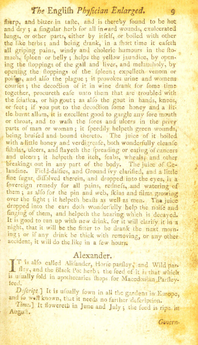 fharp, and bitter in tafte, and is thereby found to be hot and dry 5 a Gngular herb for all inward wounds, exuleerated lungs, or other parts, either by itfelf, or boiled with other the like herbs; and being drank, in a fhort time it eafeth all griping pains, windy and choleric humours in the (to- , mach, fpleen or belly ; helps the yellow jaundice, by open- ing the (toppings of the gall and liver, and melancholy, by opening the (loppings of the fpleen; expellcth venom or pof'ijp, and alfo the plague ; it provokes urine and womens courfes 5 the decodtion of it in wine drank for fome time together, procureth eafe unto them that are troubled with the fciatlca, or hip gout; as alfo the gout in hands, knees, or feet; if you put to the decoction fome honey and a lit- tle burnt allum, it is excellent good to gargle any fore mouth or throat, and to wafh the fores and ulcers in the privy parts of man or woman ; it fpeedily helpeth green wounds, being bruifed and bound thereto. The juice of it boiled with a-little honey and verdigroafe, both wonderfully cleanfc fiftulas, ulcers, and flayeth the fpreading or eating of cancers and ulcers; it helpeth the itch, fcabs, wheals; and other breakings out in any part of the body. The juice of Ce- landine. Field-dailies, and Ground ivy clarified, and a little fine lugarv diffolved therein, and dropped into the eyes, is a fovereign remedy for all pains, rednefs, and watering of them ; as alfo for the pin and web, Ikins and films growing over the fight ; it helpeth beafls as well as men. Th« juice dropped into the cars doth wonderfully help the nolle and finging of them, and helpeth the hearing which is decayed. It is good to tun up with new drink, for it will clarify it in a night, that it will be the fitter to be drank the next morn- ing; or if any drink be thick with removing, or any other accident, it will do the like in a few hours. Alexander. I r is alfo called Alifander, Horfe parfley,* and Wild par. •m ar1.th.e Black L>o£ herb '; thc reed it is that which LT 7 ^ 111 ap0lhecaries fhjPs for Macedonian .Parfley- D:Jcn['t ] It is ufually fown in all the gardens in Europe, and w w«J! known, that it needs no farther deferiprion. zw...] It (lowered) in June and July j tire feed is ripe in Augult. r Gtfvcrn-