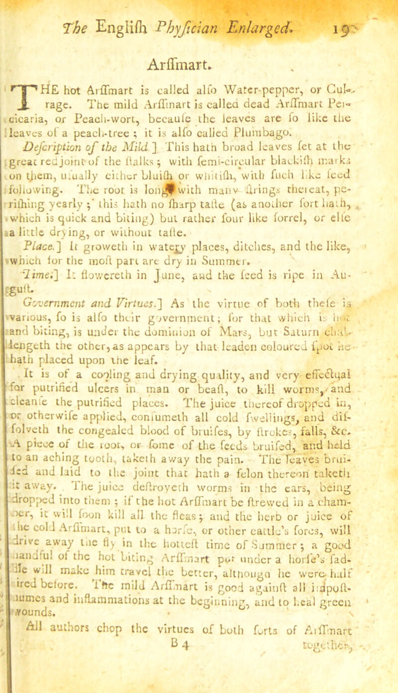 Arffmart. THE hot Arffmart is called alfo Water-pepper, or Cul-.. rage. The mild Arffmart is called dead Arffmart Pei- cicaria, or Peacli-vvort, becaule the leaves are fo like the Heaves ol a peach-tree ; it is alfo called Plumbago. Defcription of the Mild ] This hath broad leaves fet at the .great red joint of the dalks 5 with femi-circular blackid) marks •.on tjiem, ufually cither bluidi or wiiitifli, will) fuch like Iced following. The root is lon^with maiiv firings theieat, pe- rifhing yearly this hath no Iharp tatle (as anodier lort hath, which is quick and biting) but rather four like lorrel, or elie _a little drjing, or without talle. Place.] It groweth in watery places, ditches, and the like, vwhich lor the moll part are dry in Summer. •Timet] It flowereth in June, and the feed is ripe in Au- :gu(h Government and Virtues.] As the virtue of both thele is various, fo is alfo their government; for that which i: ii--c and biting, is under the dominion of Mars, but Saturn cb:iL- llengeth the other,as appears by that leaden coloured fpot he hath placed upon the leaf. It is of a cooling and drying quality, and very effectual far putrined ulcers in man or bead, to kill worms, and clean,e the putrided places. The juice thereof dropped in, I or otherwife applied, coniumeth all cold dwellings, and dif- I folveth the congealed blood of bruifes, by drokes, falls, See. j A piece of the loot, or fome of the feeds bruifed, and held | to an aching tooth, lakeih away the pain. The leaves brui- j led and laid to the joint that hath a felon thereon taketh | :t away. 1 he juice dedroyeth worms in the ears, being j dropped into then) ; il the hot Arffmart be drewed in a cham- ocr, it will foon kill all the fleas j and the herb or juice of he col l Arfiniart, put to a horfe, or other cattle's fores, will arive away t.ie fl) in the hotted time of Sjtnmer ; a good landtul ot the hot bitmg Arffmart pur under a horde's fad- de will make him travel the better, altnougn he were, half ired belore. Ihc mild Arfl.nart is good again!! all iidpod- lumes and inflammations at the beginning, and lo l.eal green rounds. • ' \ All authors chop the virtues of Loth Lrls of Aiffmart 2 4 together,