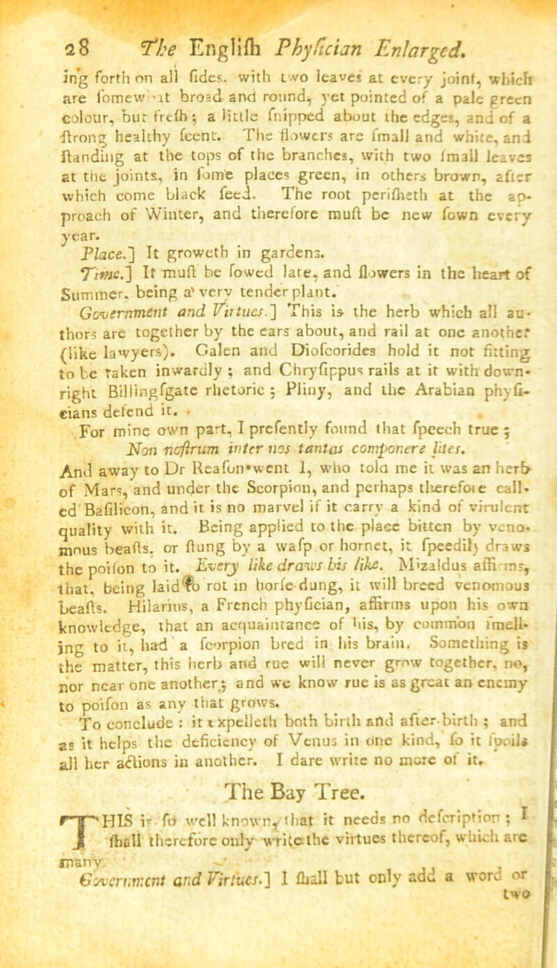 in’g forth on all (Ides, with two leaves at every joint, which are foraewi-at broad and rounds }’et pointed of a pale green colour, but frefh; a little fnipped about the edges, and of a throng healthy (cent. The flowers are (mall and white, and (landing at the tops of the branches, with two (mall leaves at the joints, in fome places green, in others brown, after which come black feed. The root periffieth at the ap- proach of Winter, and therefore mud be new Town every year. Place.] It groweth in gardens. Time.'] It muft be lowed late, and flowers in the heart of Summer, being a'very tender plant. Government and Virtues.] This is the herb which all au- thors are together by the ears about, and rail at one another (like lawyers). Galen and Diofcorides hold it not fitting to he taken inwardly ; and Chryfippus rails at it with down- right Biliingfgate rhetoric ; Pliny, and the Arabian phy £i- cians defend it. • For mine own part, I prefently found that fpeeeh true 5 Non neftrum inter nos tantas ccmponere lites. And away to Dr Heafon*went 1, who tola me ii was an herb of Mars, and under the Scorpion, and perhaps dierefoie call- ed Bafilicon, and it is no marvel if it carry a kind of virulent quality with it. Being applied to the place bitten by veno. mnus beads, or dung by a wafp or hornet, it fpeedil) draws the poilon to it. Every like draws bis like. Mizaldus affirms, that, being laid^o rot in horfe dung, it will breed venomous beads. Hilarhis, a French phyGcian, affirms upon his own knowledge, that an acquaintance of his, by common lrnell- jng to it, had a fcorpion bred in his brain. Something is the matter, this herb and rue will never grow together, no, nor near one another 5 and we know rue is as great an enemy ' to poifon as any that grows. To conclude : it ixpelieth both birth and after-birth ; and as it helps the deficiency of Venus in tine kind, fo it fpoils all her adlions in another. I dare write no more of it. The Bay Tree. T'HIS 5? fo well known* that it needs no defc.ription ; I (hell therefore only writelhc virtues thereof, which are roWy , ,. , Government and Virtues.] 1 (hall but only add a word or two