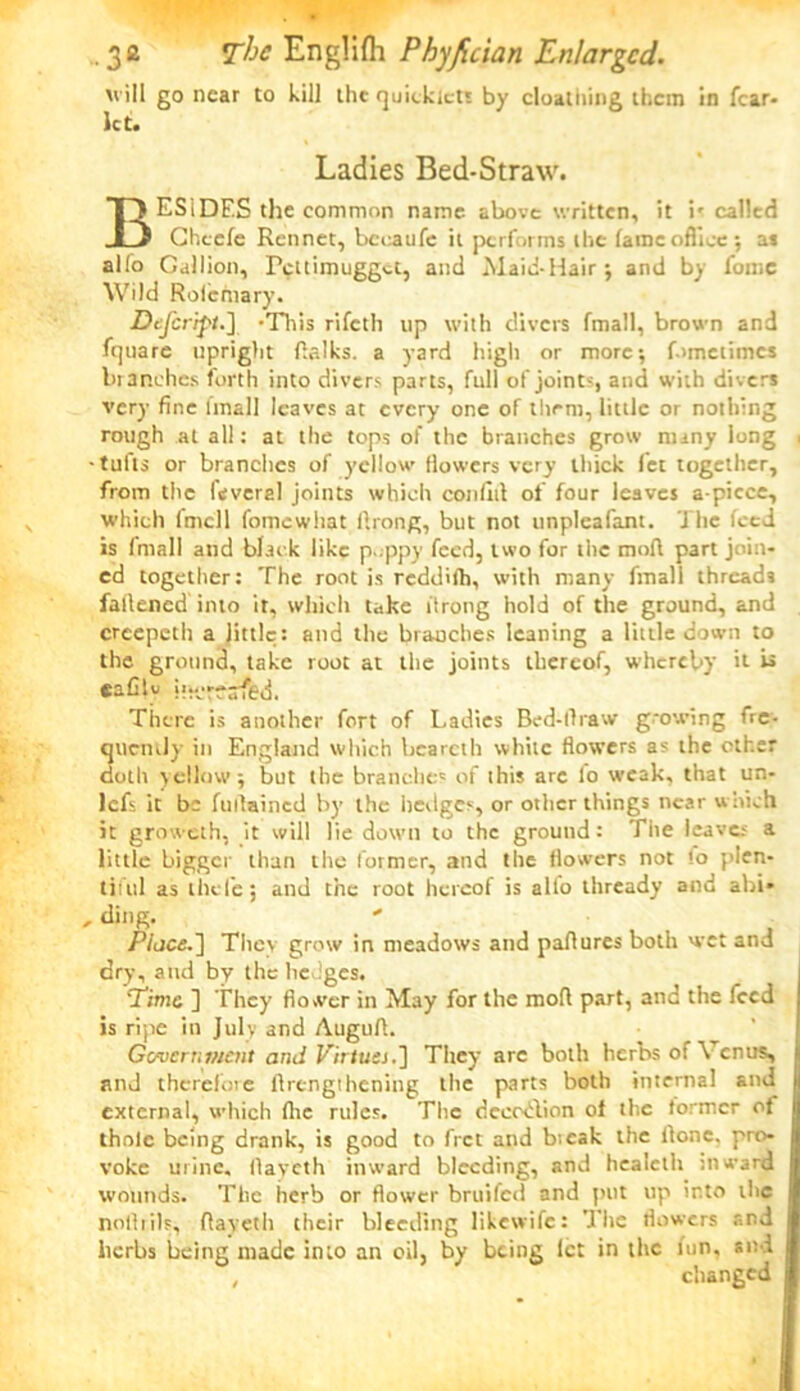 will go near to kill the rjuicklcts by cloalhing them in fear- let. Ladies Bed-Straw. BESIDES the common name above written, it is called Chcefe Rennet, bceaufe it performs the fame office; as alfo Gallion, Pettimugget, and Maid-Hair; and by fomc Wild Rolcmary. Dejeript.] -Tliis rifeth up with divers fmall, brown and fquare upright Balks. a yard high or more; fometimes branches forth into divers parts, full of joints, and with divers very fine lmall leaves at every one of them, little or nothing rough at all: at the tops of the branches grow many long . -tufts or branches of yellow flowers very thick let together, from the feveral joints which con fid of four leaves a-picce, which fmcll fomewliat llrong, but not unpleafant. The feed is fmall and black like poppy feed, two for the mod part join- ed together: The root is reddifh, with many final) threads fallened into it, which take tlrong hold of the ground, and crcepeth a little: and the branches leaning a little down to the ground, take root at the joints thereof, whereby it eafiU There is another fort of Ladies Bed-llra'-v g.-owing fre- cjuemly in England which bcarcth white flowers as the other doth yellow; but the branches of ihis arc lo weak, that un- lefs it be fullaincd by the hedges, or other things near which it groweth, it will lie down to the ground: The leaves a little bigger than the former, and the flowers not !o plen- tiful as thel'e; and the root hereof is alio thready and abi* . ding. ' Place.] They grow in meadows and padures both wet and dry, and by the lie ges. Time ] They flower in May for the mod part, and the feed is ripe in July and Auguft. Government ami Virtuej.] They arc both herbs of Venus, J and therefore flrengthening the parts both internal and 1 external, which flie rules. The decotbon of the former of thole being drank, is good to fret and bicak the done, pro- voke urine, llayeth inward bleeding, and heaicth inward wounds. The herb or flower bruifed and put up into the nolbils, flaveth their bleeding likewife: The flowers and licrbs being made into an oil, by being let in the lun, si;i , changed