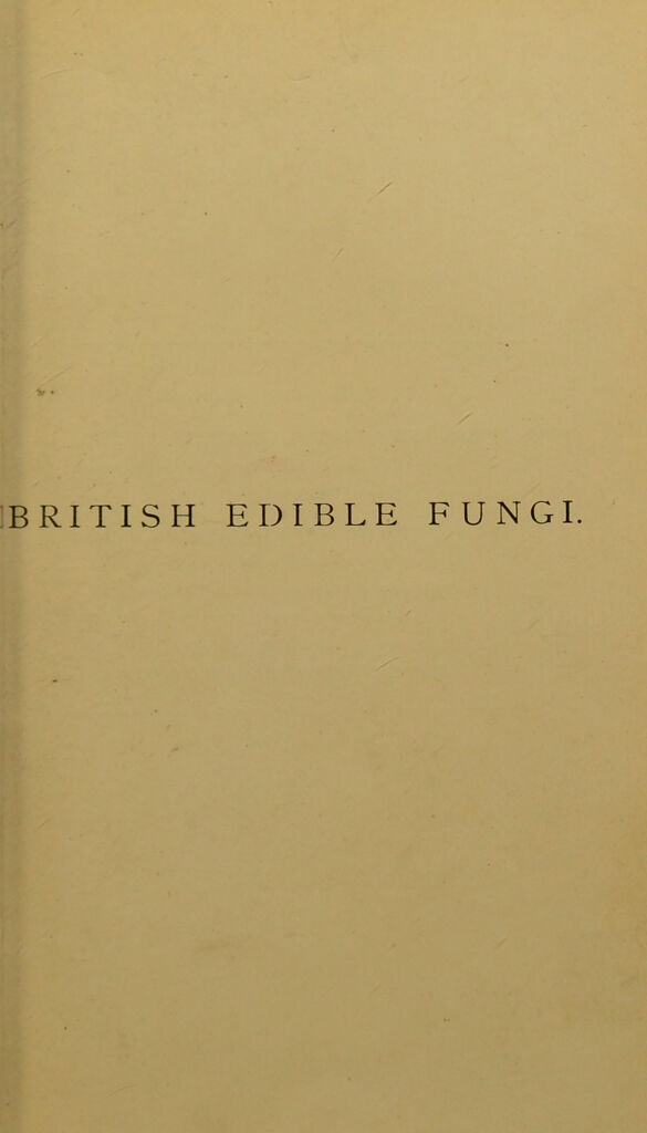 British edible fungi : how to distinguish and how to cook them