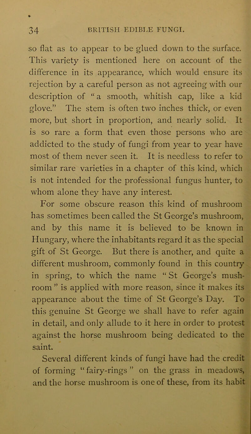 SO flat as to appear to be glued down to the surface. This variety is mentioned here on account of the difference in its appearance, which would ensure its rejection by a careful person as not agreeing with our description of “ a smooth, whitish cap, like a kid glove.” The stem is often two inches thick, or even more, but short in proportion, and nearly solid. It is so rare a form that even those persons who are addicted to the study of fungi from year to year have most of them never seen it. It is needless to refer to similar rare varieties in a chapter of this kind, which is not intended for the professional fungus hunter, to whom alone they have any interest. For some obscure reason this kind of mushroom has sometimes been called the St George’s mushroom, and by this name it is believed to be known in Hungary, where the inhabitants regard it as the special gift of St George. But there is another, and quite a different mushroom, commonly found in this country in spring, to which the name “ St George’s mush- room ” is applied with more reason, since it makes its appearance about the time of St George’s Day. To this genuine St George we shall have to refer again in detail, and only allude to it here in order to protest against the horse mushroom being dedicated to the saint. Several different kinds of fungi have had the credit of forming “ fairy-rings ” on the grass in meadows, and the horse mushroom is one of these, from its habit
