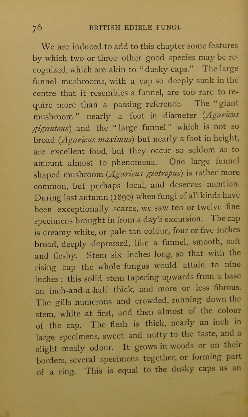 We are induced to add to this chapter some features by which two or three other good species may be re- cognized, which are akin to “ dusky caps.” The large funnel mushrooms, with a cap so deeply sunk in the centre that it resembles a funnel, are too rare to re- quire more than a passing reference. The “ giant mushroom ” nearly a foot in diameter {Agaricus giganteus') and the “ large funnel ” which is not so broad {Agaricus maxtinus) but nearly a foot in height, are excellent food, but they occur so seldom as to amount almost to phenomena. One large funnel shaped mushroom (Agaricus geotropus) is rather more common, but perhaps local, and deserves mention. During last autumn (1890) when fungi of all kinds have been exceptionally scarce, we saw ten or twelve fine specimens brought in from a day’s excursion. The cap is creamy white, or pale tan colour, four or five inches broad, deeply depressed, like a funnel, smooth, soft and fleshy. Stem six inches long, so that with the rising cap the whole fungus would attain to nine inches ; this solid stem tapering upwards from a base an inch-and-a-half thick, and more or less fibrous. The gills numerous and crowded, running down the stem, white at first, and then almost of the colour of the cap. The flesh is thick, nearly an inch in large specimens, sweet and nutty to the taste, and a slight mealy odour. It grows in woods or on their borders, several specimens together, or forming part of a ring. This is equal to the dusky caps as an
