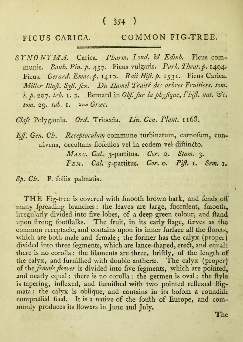 FICUS CARICA. COMMON FIG-TREE. STN0 NTMA. Carica. Pbarm. Land. Id Edinb. Ficus com- munis. Bauh. Pin. p. 457. Ficus vulgaris. Park.Theat. p. 1494. Ficus. Gerard. Emac.p. 1410. Rail Hift.p. 1531. Ficus Carica. Miller Mud. Syjl.fex. Du Hamel Trade des arbres Fruitiers. tom. i. p. 207. tab. 1. 2. Bernard in Obf. fur la phyftque, Chif. nat. &c. tom. 29. tab. 1. Grcec. Clafs Polygamia. Ord. Trioecia. Lin. Gen. Plant. 116$. EJf. Gen. Ch. Receptaculum commune turbinatum, carnofum, con- nivens, occultans flofculos vel in eodem vel diftindto. Masc. Cal. 3-partitus. Cor. o. Stam. 3. Fem. Cal. 5-partitus. Cor. o. Pijl. 1. Sem. 1. Sp. Ch. F. foliis palmatis. . \ 1 THE Fig-tree is covered with fmooth brown bark, and fends off many fpreading branches: the leaves are large, fucculent, fmooth, irregularly divided into five lobes, of a deep green colour, and Hand upon ftrong footftalks. The fruit, in its early ftage, ferves as the common receptacle, and contains upon its inner furface all the florets, which are both male and female; the former has the calyx (proper) divided into three fegments, which are lance-fhaped, eredt, and equal: there is no corolla: the filaments are three, briflly, of the length of the calyx, and furnifhed with double antheras. The calyx (proper) of the female fower is divided into five fegments, which are pointed, and nearly equal: there is no corolla : the germen is oval: the ftyle is tapering, indexed, and furnifhed with two pointed reflexed ftig- mata: the calyx is oblique, and contains in its bofom a roundifh compreffed feed. It is a native of the fouth of Europe, and com- monly produces its flowers in June and July.