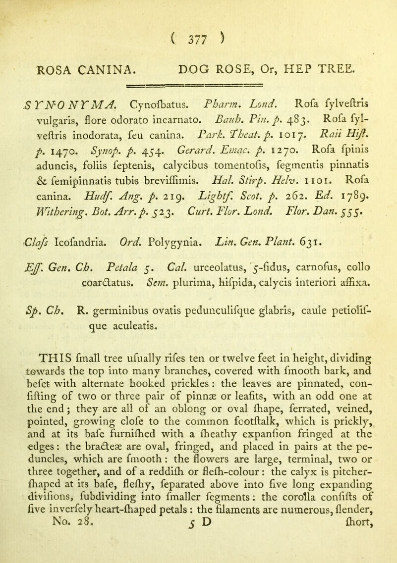 S Y'N'O N TMA. Cynofbatus. Phann. Loud. Rofa fylveftris vulgaris, fiore odorato incarnato. Bauh„ Pin. p. 483. Rofa fyl- veftris inodorata, feu canina. Park. Pheat. p. 1017. Rail Hijl. p. 1470. Synop. p. 454. Gerard. Emac. p. 1270. Rofa fpinls aduncis, foliis feptenis, calycibus tomentofis, fegmentls pinnatis & femlpinnatis tubk breviflimis. Hal. Stirp. Helv. iioi. Rofa canina. Hudf. Ang. p. 219. Lightf. Scot. p. 262. Ed. 1789* Withering. Bot. Arr.p. yiy Curt. Flor. Lond. Flor. Dan. Clafs Icofandria. Ord. Polygynia. Lin. Gen. Plant. 631. EJf. Gen. Ch. Petala 5. Cal. urceolatus, '5-fidus, carnofus, collo coardtatus. Sem. plurima, hifpida, calycis interior! aifixa. Sp, Ch. R. germinibus ovatis pedunculifqite glabris, caule petiolif- que aculeatis. THIS fmall tree ufually rifes ten or twelve feet in helglit, dividing towards the top into many branches, covered with fmooth bark, and befet with alternate hooked prickles : the leaves are pinnated, con- fifting of two or three pair of pinnae or leafits, with an odd one at the end ; they are all of an oblong or oval fhape, ferrated, veined, pointed, growing clofc to the common fcotftalk, which is prickly, and at its bafe furnilhed with a fheathy expanfion fringed at the edges: the bradleae are oval, fringed, and placed in pairs at the pe- duncles, which are fmooth: the flowers are large, terminal, two or three together, and of a reddifh or flefti-colour: the calyx is pitcher- fhaped at its bafe, flefhy, feparated above into five long expanding divifions, fubdividing into fmaller fegments; the corolla confifts of five inverfely heart-fhaped petals : the filaments are numerous, flender. No. 28. 5 D fhort,