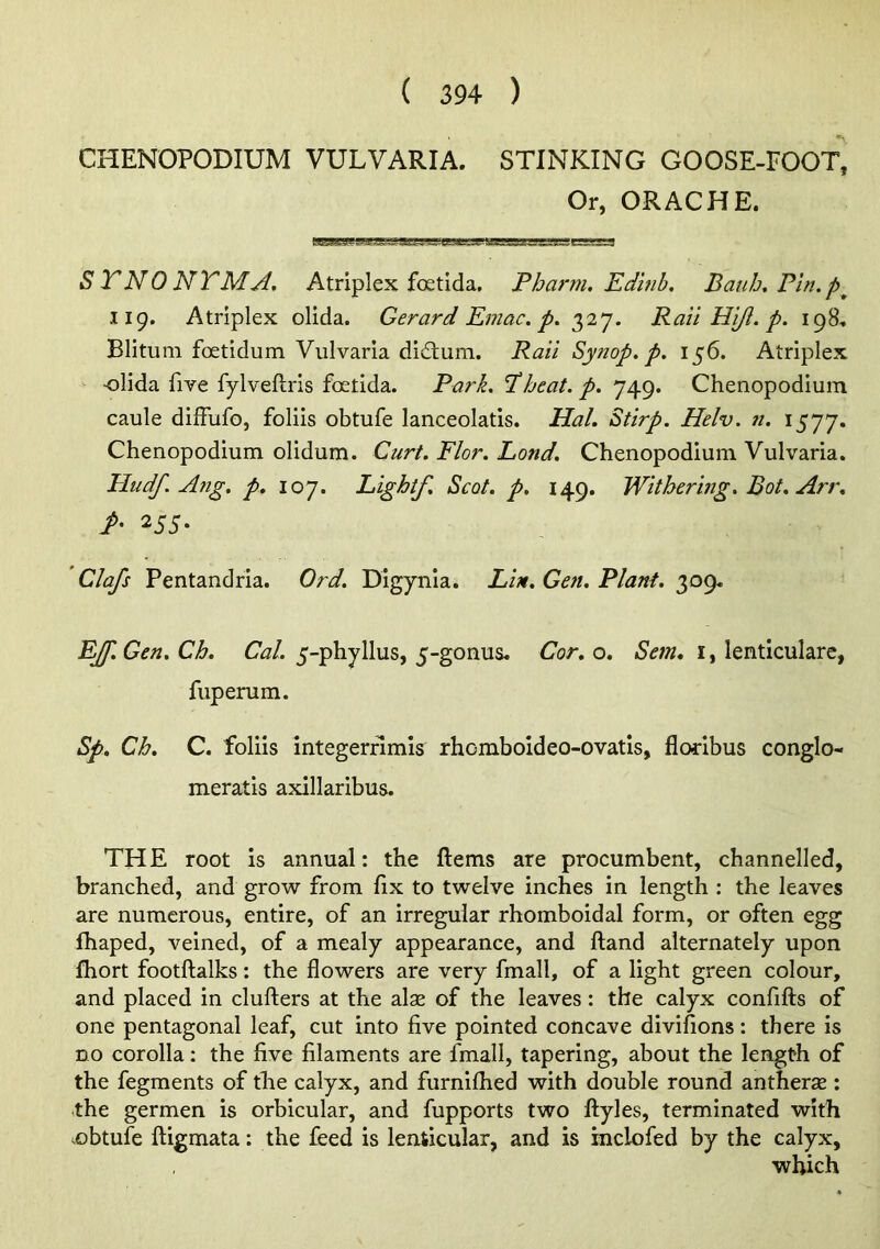 CHENOPODIUM VULVARIA. STINKING GOOSE-FOOT, Or, ORACHE. STNONTMA. Atriplex foetlda, Pharm. Edmb. Baub,Pln.p^ 119. Atriplex olida. Gerard Emac. p. . Rail H'l/l. p. 198, Blitum foetidum Vulvaria didtum. Rail Synop, p, 156. Atriplex ■olida five fylveftris foetida. Park. Pheat. p. 749. Chenopodium caule diffufo, foliis obtufe lanceolatis. Hal. Stirp. Helv. n. 1577. Chenopodium olidum. Curt. Flor. Lond. Chenopodium Vulvaria. Pludf. Afig. p. 107. Light/. Scot, p, 149. Withering. Bot. Arr. / 255. Clafs Pentandria. Ord. Digynia. Lin. Gen. Plant. 309. EJJ'.Gen.Ch. C^/. 5-phyllus, 5-gonua. Cor.o. Sem* i, lenticulare, fuperum. Sp. Ch. C. foliis integerrlmis rhomboideo-ovatis, floribus conglo- meratis axillaribus. THE root is annual: the ftems are procumbent, channelled, branched, and grow from fix to twelve inches in length : the leaves are numerous, entire, of an irregular rhomboidal form, or often egg lhaped, veined, of a mealy appearance, and ftand alternately upon fhort footftalks: the flowers are very fmall, of a light green colour, and placed in clufters at the alae of the leaves: the calyx confifts of one pentagonal leaf, cut into five pointed concave divifions: there is DO corolla: the five filaments are fmall, tapering, about the length of the fegments of the calyx, and furniflhied with double round antnerae : the germen is orbicular, and fupports two liyles, terminated with .obtufe ftigmata: the feed is lenticular, and is mclofed by the calyx, which