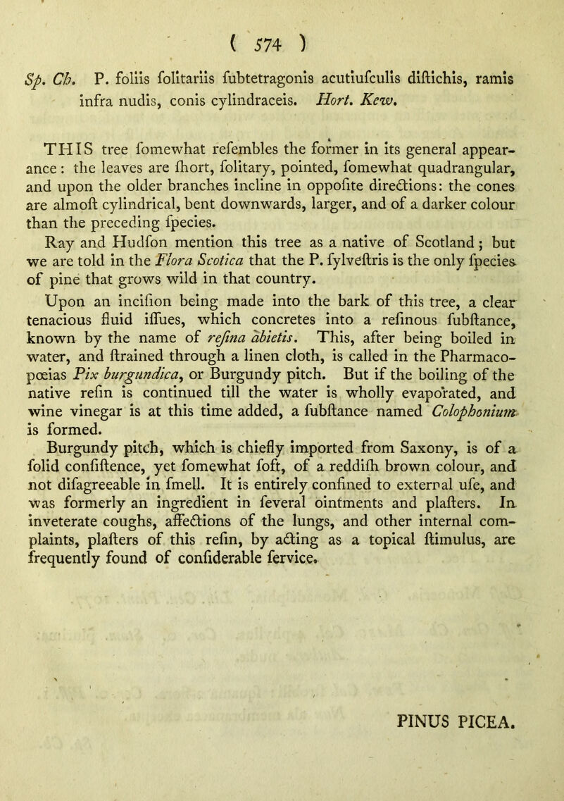 Sp* Ch. P. foliis folitarns fubtetragonls acutlufcuUs diftichis, ramis infra nudis, conis cylindraceis. Hort, Kew, THIS tree fomewhat refembles the former in its general appear- ance : the leaves are fhort, folitary, pointed, fomewhat quadrangular, and upon the older branches incline in oppofite directions: the cones are almoft cylindrical, bent downwards, larger, and of a darker colour than the preceding fpecies. Ray and Hudfon mention this tree as a native of Scotland; but we are told in the Flora Scotica that the P. fylveftris is the only fpecies of pine that grows wild in that country. Upon an incilion being made into the bark of this tree, a clear tenacious fluid ilTues, which concretes into a refmous fubftance, known by the name of reftna abietis. This, after being boiled in water, and ftrained through a linen cloth, is called in the Pharmaco- poeias Fix burgundica, or Burgundy pitch. But if the boiling of the native refin is continued till the water is wholly evaporated, and wine vinegar is at this time added, a fubftance named Colophoniuirt is formed. Burgundy pitch, which is chiefly imported from Saxony, is of a folid confiftence, yet fomewhat foft, of a reddifh brown colour, and not difagreeable in fmell. It is entirely confined to external ufe, and was formerly an ingredient in feveral ointments and plafters. In inveterate coughs, aflfeClions of the lungs, and other internal com- plaints, plafters of this refin, by ading as a topical ftimulus, are frequently found of confiderable fervice. PINUS PICEA.