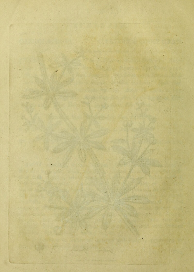 ' y., ■ i -1^.. '.: \ ' P .34-