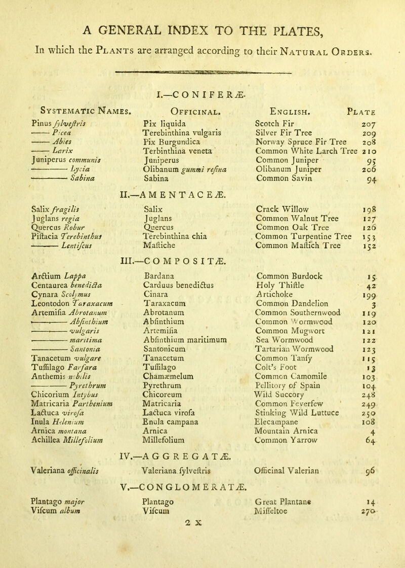 In which the Plants are arranged according to their Natural Orders. Systematic Names. I.—C O N I F E R.^. Officinal. English. Plate Pinus fjl<vejiris Pix liquida Scotch Fir 207 • Picea Terebinthina vulgaris Silver Fir Tree Z09 ^bies Pix Burgundica Norway Spruce Fir Tree 208 • Larix Terbinthina veneta' Common White Larch Tree 210 Juniperus communis Juniperus Common Juniper 95 Lycia Olibanum gummi refna Olibanum Juniper 206 Sabina Sabina Common Savin 94 II.- -AMENTACE^. Salix fragilis Salix Crack Willow ^ 198 Juglans regia Juglans Common Walnut Tree 127 Quercus Robur Quercus Common Oak Tree 126 Piftacia ’Terebinthus Terebinthina chia Common Turpentine Tree '55 — Lentifcus Maftiche Common Maftich Tree 152 III.- -CO M P O SIT/E. Arftium Lappa Bardana Common Burdock '5 Centaurea beneiibla Carduus benediftus Holy Thiftle 42 Cynara Scoljmus Cinara Artichoke 199 Leontodon Taraxacum T araxacum Common Dandelion 3 Artemifia Abrotanum Abrotanum Common Southernwood 119 »—■ — Abjinthium Abfinthium Common Wormwood 120 • ^vulgaris Artemifia Common Mugwort 121 maritima Abfinthium maritimum Sea Wormwood 122 Santonta Santonicum Tartarian Wormwood 123 Tanacetum vulgare Tanacetum Common Tanfy »«5 Tuflilago Fat-far a TulTiIago Colt’s Foot >3 Anthemis ncbdis Chamaemelum Common Camomile 103 Py ret hr urn Pyrethrum Pcllitory of Spain 104 Chicorium Intybus Chicoreum Wild Succory 248 Matricaria Parthenium Matricaria Common Feverfew 249 Laftuca tvirofa Laduca virofa Stinking Wild Luttuce 250 Inula Hdenium Enula campana Elecampane 108 Arnica montana Arnica Mountain Arnica 4 Achillea Millefolium Millefolium Common Yarrow 64 IV.- -A G G R E G AT^. Valeriana officinalis Valeriana fyIveftris Officinal Valerian 96 V.- -CONGLOMERATiE. Plantago major Plantago Great Plantane »4 Vifcum album Vifcum Mifleltoe 270