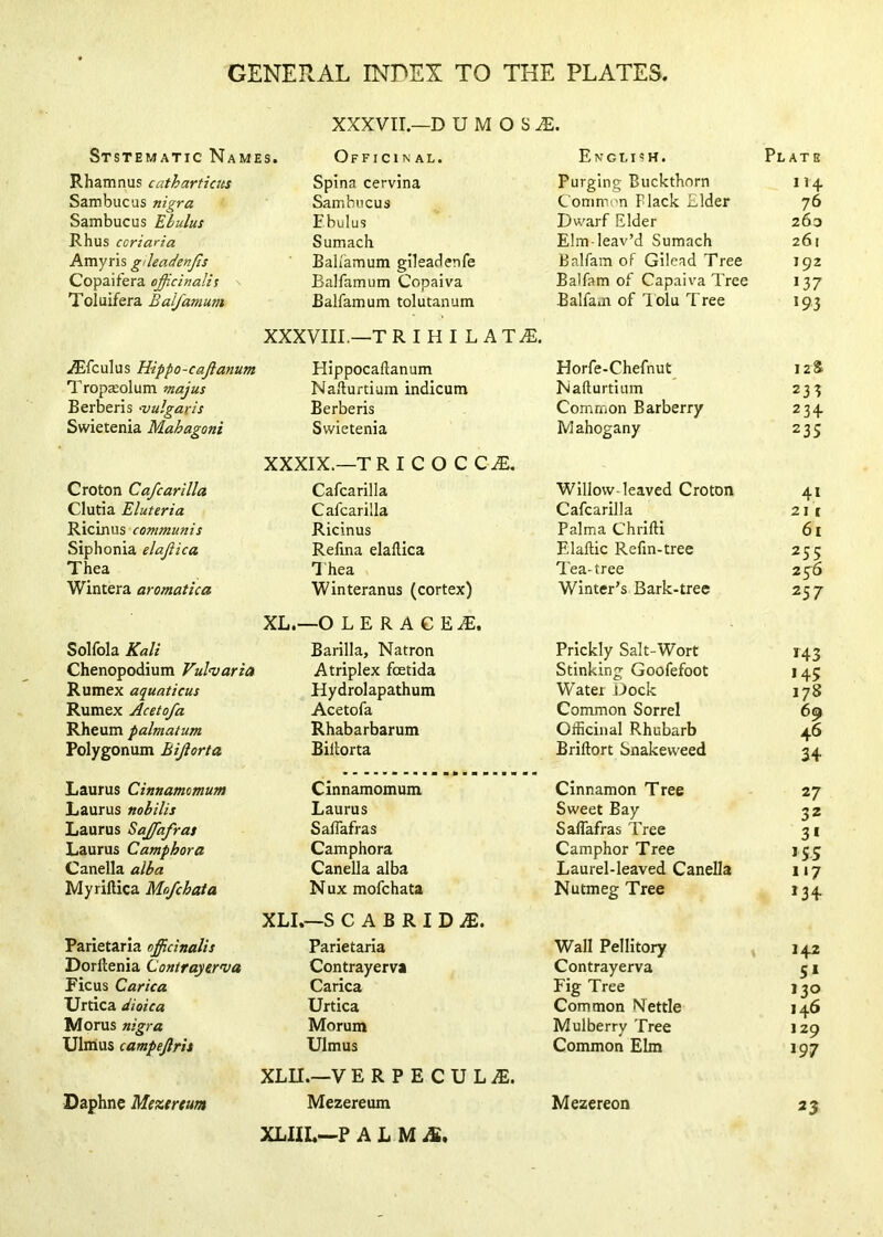 XXXVII.—D U M O S Ststematic Names. Officinal. English. Plats Rhamnus cathartiats Spina cervina Purging Buckthorn 114 Sairbucas nigra Sambiicus Common Flack Elder 76 Sambucus Ehulus Ebulus Dwarf Elder 263 Rhus coriaria Sumach Elm leav’d Sumach 261 Amyris gdeadenjts Bahamum gileadenfe Balfam of Gilead Tree 192 Copaifera ojicinalii Balfamum Copaiva Balfam of Capaiva Tree 137 Toluifera Balfamum Balfamum tolutanum Balfam of Tolu Tree *93 XXXVm,—T R I H I L A T^, ^fculus Hippo-cajianum Hippocaftanum Horfe-Chefnut 12S Tropaolum majus Nafturtiam indicum Nafturtium 233 Berberis ^vulgaris Berberis Common Barberry 234- Swietenia Mahagoni Swietenia Mahogany 23s XXXIX.—T R I C O C C Croton Cafcarilla Cafcarilla Willow-leaved Croton 41 Clutia Eluteria Cafcarilla Cafcarilla 211 Ricinus communis Ricinus Palma Chrifti 61 Siphonia elajiica Refina elaftica ElalHc Refin-tree 255 Thea Thea Tea-tree 2^6 Wintera aromatica Winteranus (cortex) Winter’s Bark-tree 257 XL.- -O L E R A G E Solfbla Kali Barilla, Natron Prickly Salt-Wort >43 Chenopodium Vul‘varia Atriplex foetida Stinking Goofefoot »45 Rumex aquaticus Hydrolapathum Water Dock 178 Rumex Acetofa Acetofa Common Sorrel 6g Rheum palmatum Rhabarbarum Officinal Rhubarb 46 Polygonum Bijlorta Billorta Briftort Snakeweed 34 Laurus Cinnamomum Cinnamomum Cinnamon Tree 27 Laurus nobilis Laurus Sweet Bay 32 Laurus Sajfafras Saffafras Saffafras Tree 3* Laurus Camphora Camphora Camphor Tree »S5 Canella alba Canella alba Laurel-leaved Canella >'7 Myriftica Mofchata N ux mofchata Nutmeg Tree >34 XLI. —S C A B R I D iE. Parietarla officinalis Parietaria Wall Pellitory 142 Dorllenia Lontraytr'va Contrayerva Contrayerva 5* Ricus Carica Carica Fig Tree 130 Urtica dioica Urtica Common Nettle 146 Morus nigra Morum Mulberry Tree 129 Ulmus campejlrit Ulmus Common Elm 197 XLU V ERPECULiE. Daphne Me%.trtum Mezereum Mezereon 23