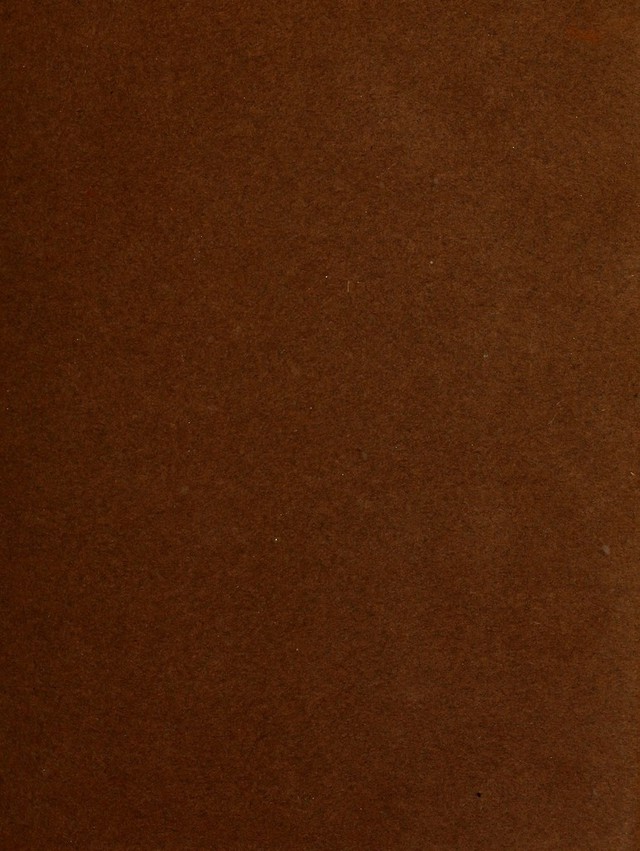 digitised image 3