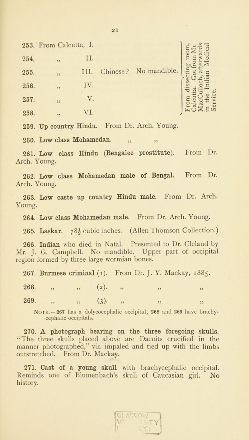 253. From Calcutta, I. 254. 5? II. 255. 5) III. Chinese? No mandible. 256. 5 5 IV. 257. ?) V. 258. 55 VI. 259. Up country Hindu. From Dr. Arch. Young. 260. Low class Mohamedan. ,, ,, 261. Low class Hindu (Bengalee prostitute). Arch. Young. o o u 'CD e u <v in O O • o Cti ‘r^ 0) o 5-1 <v •4-> H-H oj cj -T ci ! *■ U o c: d d <D :3 d 3 L) ^ c cj o -r: PhU^.S CD U ■> 5-1 0) C/2 From Dr. 262. Low class Mohamedan male of Bengal. From Dr. Arch. Young. 263. Low caste up country Hindu male. From Dr. Arch. Young. 264. Low class Mohamedan male. From Dr. Arch. Young. 265. Laskar. 7cubic inches. (Allen Thomson Collection.) 266. Indian who died in Natal. Presented to Dr. Cleland by Mr. J. G. Campbell. No mandible. Upper part of occipital region formed by three large wormian bones. 267. Burmese criminal (i). From Dr. J. Y. Mackay, 1885. 268. 5 5 5 ) (2)* 55 55 55 269. 5 5 5 5 (3)’ 55 55 55 Note.— 267 has a dolycocephalic occipital, 268 and 269 have brachy- cephalic occipitals. 270. A photograph bearing on the three foregoing skulls. “The three skulls placed above are Dacoits crucified in the manner photographed,” viz. impaled and tied up with the limbs outstretched. From Dr. Mackay. 271. Cast of a young skull with brachycephalic occipital. Reminds one of Blumenbach’s skull of Caucasian girl. No history.