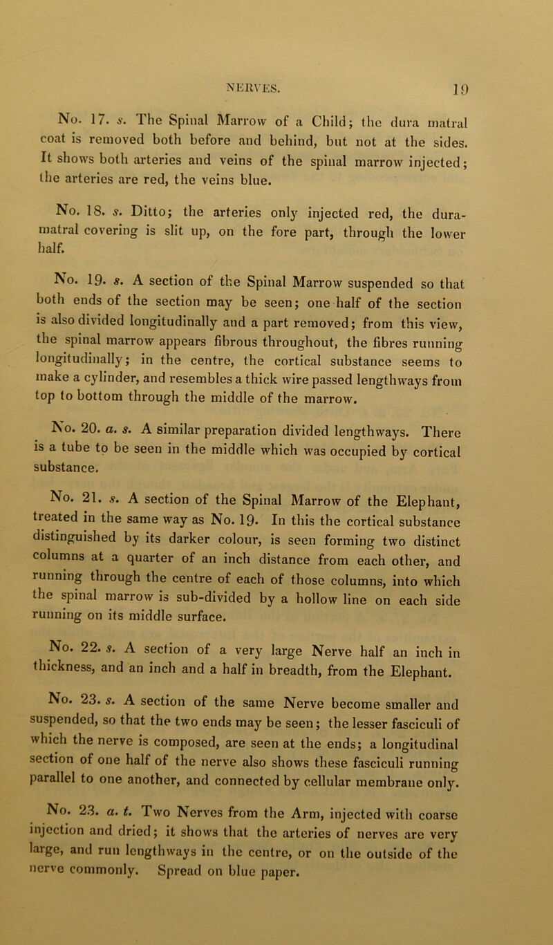 No. 17. A-. The Spinal Marrow of a Child; Ihc dura rnalral coat is removed both before and behind, but not at the sides. It shows both arteries and veins of the spinal marrow injected; the arteries are red, the veins blue. No. 18. s. Ditto; the arteries only injected red, the dura- matral covering is slit up, on the fore part, through the lower half. No. 19. #. A section of the Spinal Marrow suspended so that both ends of the section may be seen; one half of the section is also divided longitudinally and a part removed; from this view, the spinal marrow appears fibrous throughout, the fibres running longitudinally; in the centre, the cortical substance seems to make a cylinder, and resembles a thick wire passed lengthways from top to bottom through the middle of the marrow. ^o. 20. a. s. A similar preparation divided lengthways. There is a tube to be seen in the middle which was occupied by cortical substance. No. 21. s. A section of the Spinal Marrow of the Elephant, treated in the same way as No. 19. In this the cortical substance distinguished by its darker colour, is seen forming two distinct columns at a quarter of an inch distance from each other, and running through the centre of each of those columns, into which the spinal marrow is sub-divided by a hollow line on each side running on its middle surface. No. 22. s. A section of a very large Nerve half an inch in thickness, and an inch and a half in breadth, from the Elephant. No. 23. s. A section of the same Nerve become smaller and suspended, so that the two ends may be seen; the lesser fasciculi of which the nerve is composed, are seen at the ends; a longitudinal section of one half of the nerve also shows these fasciculi running parallel to one another, and connected by cellular membrane only. No. 2.3. a. t. Two Nerves from the Arm, injected with coarse injection and dried; it shows that the arteries of nerves are very large, and run lengthways in the centre, or on the outside of the nerve commonly. Spread on blue paper.