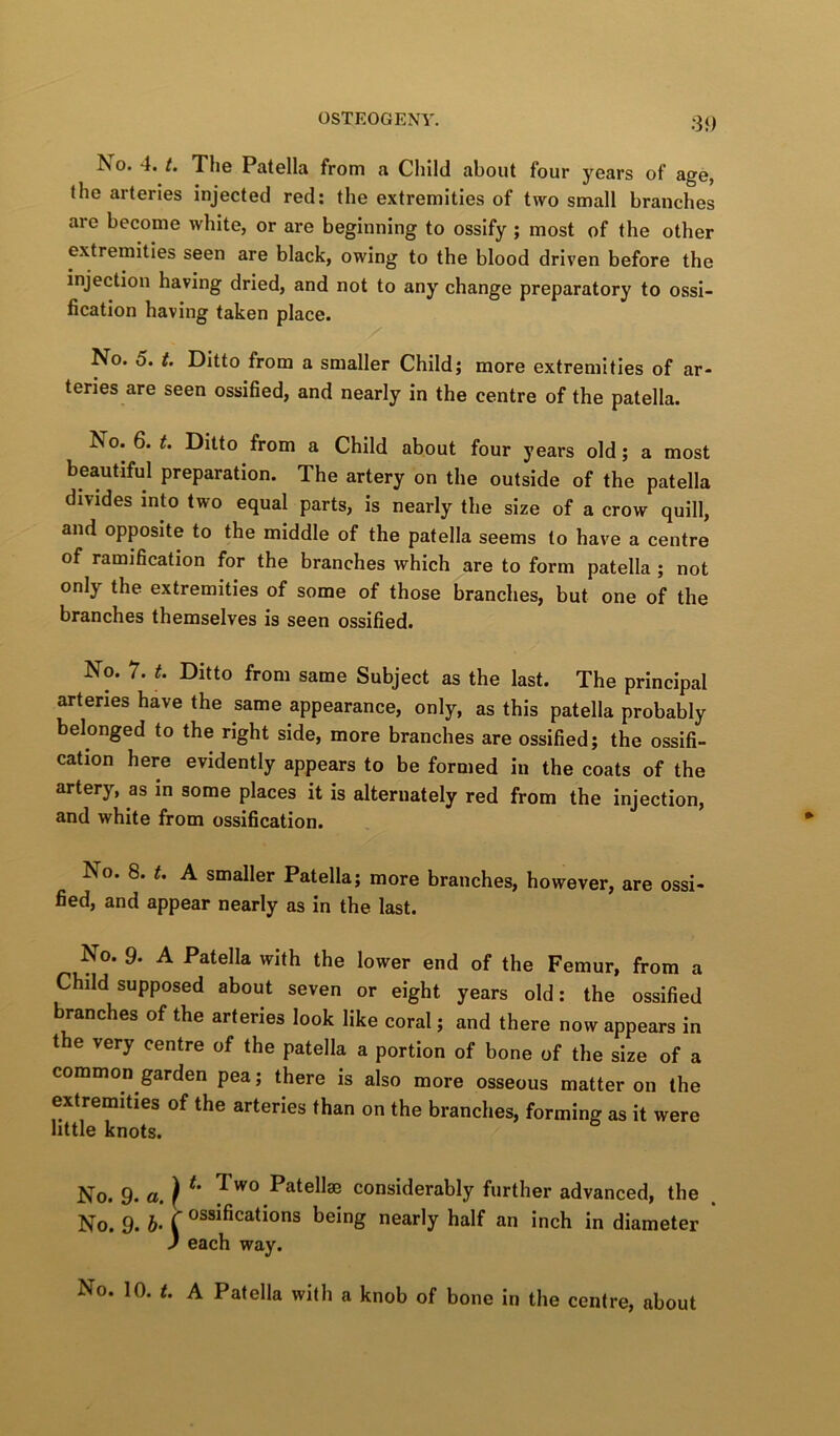 3f) No. 4. t. The Patella from a Child about four years of age, the arteries injected red: the extremities of two small branches are become white, or are beginning to ossify; most of the other extremities seen are black, owing to the blood driven before the injection having dried, and not to any change preparatory to ossi- fication having taken place. No. 5. t. Ditto from a smaller Child; more extremities of ar- teries are seen ossified, and nearly in the centre of the patella. No. 6. t. Ditto from a Child about four years old; a most beautiful preparation. The artery on the outside of the patella divides into two equal parts, is nearly the size of a crow quill, and opposite to the middle of the patella seems to have a centre of ramification for the branches which are to form patella ; not only the extremities of some of those branches, but one of the branches themselves is seen ossified. No. 7. t. Ditto from same Subject as the last. The principal arteries have the same appearance, only, as this patella probably belonged to the right side, more branches are ossified; the ossifi- cation here evidently appears to be formed in the coats of the artery, as in some places it is alternately red from the injection, and white from ossification. No. 8. t. A smaller Patella; more branches, however, are ossi- fied, and appear nearly as in the last. No. 9. A Patella with the lower end of the Femur, from a Child supposed about seven or eight years old: the ossified branches of the arteries look like coral; and there now appears in the very centre of the patella a portion of bone of the size of a common garden pea; there is also more osseous matter on the extremities of the arteries than on the branches, forming as it were little knots. No. 9. a. } Patellae considerably further advanced, the No. 9. b- f ossifications being nearly half an inch in diameter ) each way. No. 10. <. A Patella with a knob of bone in the centre, about