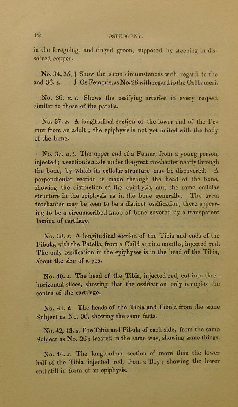 in the foregoing, and tinged green, supposed hj' steeping in dis- solved copper. No. 34, 35, \ Show the same circumstances with regard to the and 36. t. J Os Femoris, as No. 26 with regard to the Os Humeri. No. 36. a. t. Shows the ossifying arteries in every respect similar to those of the patella. No. 37. s. A longitudinal section of the lower end of the Fe- mur from an adult ; the epiphysis is not yet united with the body of the bone. No. 37. a.t. The upper end of a Femur, from a young person, injected; a section is made under the great trochanter nearly through the bone, by which its cellular structure may be discovered. A perpendicular section is made through the head of the bone, showing the distinction of the epiphysis, and the same cellular structure in the epiphysis as in the bone generally. The great trochanter may be seen to be a distinct ossification, there appear- ing to be a circumscribed knob of bone covered by a transparent lamina of cartilage. No. 38. s. A longitudinal section of the Tibia and ends of the Fibula, with the Patella, from a Child at nine months, injected red. The only ossification in the epiphyses is in the head of the Tibia, about the size of a pea. No. 40. s. The head of the Tibia, injected red, cut into three horizontal slices, showing that the ossification only occupies the centre of the cartilage. No. 41. t. The heads of the Tibia and Fibula from the same Subject as No. 36, showing the same facts. No. 42, 43. s. The Tibia and Fibula of each side, from the same Subject as No. 26 ; treated in the same way, showing same things. No. 44. s. The longitudinal section of more than the lower half of the Tibia injected red, from a Boy; showing the lower end still in form of an epiphysis.