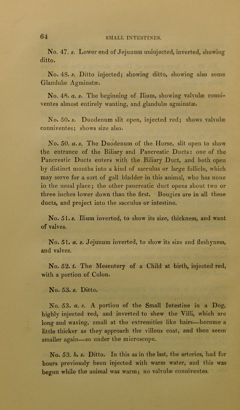 No, 47. s. Lower end of Jejunum uninjected, inverted, showing ditto. No. 4S. s. Ditto injected; showing ditto, showing also some Glandulae Agminatso. No. 48. a. 5. The beginning of Ilium, showing valvulae conni- ventes almost entirely wanting, and glandulse agminatse. No. 50.5. Duodenum slit open, injected red; shows valvulae conniventes; shows size also. No. 50. a.s. The Duodenum of the Horse, slit open to show the entrance of the Biliary and Pancreatic Ducts; one of the Pancreatic Ducts enters with the Biliary Duct, and both open by distinct mouths into a kind of sacculus or large follicle, which may serve for a sort of gall bladder in this animal, who has none in the usual place; the other pancreatic duct opens about two or three inches lower down than the first. Bougies are in all these ducts, and project into the sacculus or intestine. No. 51.5. Ilium inverted, to show its size, thickness, and want of valves. No. 51. a. 5. Jejunum inverted, to show its size and fleshyness, and valves. No. 52. t. The Mesentery of a Child at birth, injected red, with a portion of Colon. No. 53. 5. Ditto. No. 53. a. 5. A portion of the Small Intestine in a Dog, highly injected red, and inverted to shew the Villi, which are long and waving, small at the extremities like hairs—become a little thicker as they approach the villous coat, and then seem smaller again—so under the microscope. No. 53. b. 5. Ditto. In this as in the last, the arteries, had for hours previously been injected with warm water, and this was begun while the animal was warm; no valvulae conniventes.