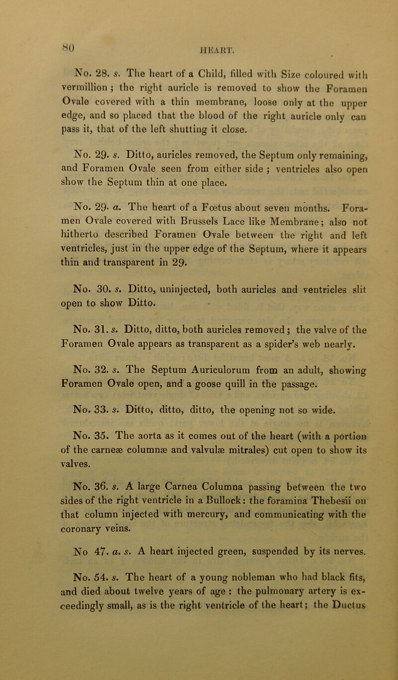 No. 28. s. The heart of a Child, filled with Size coloured with Vermillion ; the right auricle is removed to show the Foramen Ovale covered with a thin membrane, loose only at the upper edge, and so placed that the blood of the right auricle only can pass it, that of the left shutting it close. No. 29. s. Ditto, auricles removed, the Septum only remaining, and Foramen Ovale seen from either side ; ventricles also open show the Septum thin at one place. No. 29> a. The heart of a Foetus about seven months. Fora- men Ovale covered with Brussels Lace like Membrane; also not hitherto described Foramen Ovale between the right and left ventricles, just in the upper edge of the Septum, where it appears thin and transparent in 29* No. 30. s. Ditto, uninjected, both auricles and ventricles slit open to show Ditto. No. 31. s. Ditto, ditto, both auricles removed; the valve of the Foramen Ovale appears as transparent as a spider’s weh nearly. No. 32. s. The Septum Auriculorum from an adult, showing Foramen Ovale open, and a goose quill in the passage. No. 33. s. Ditto, ditto, ditto, the opening not so wide. No. 35. The aorta as it comes out of the heart (with a portion of the carnese columnae and valvulae mitrales) cut open to show its valves. No. 36. s. A large Carnea Columna passing between the two sides of the right ventricle in a Bullock: the foramina Thebesii on that column injected with mercury, and communicating with the coronary veins. No 47. a. s. A heart injected green, suspended by its nerves. No. 54. s. The heart of a young nobleman who had black fits, and died about twelve years of age : the pulmonary artery is ex- ceedingly small, as is the right ventricle of the heart; the Ductus