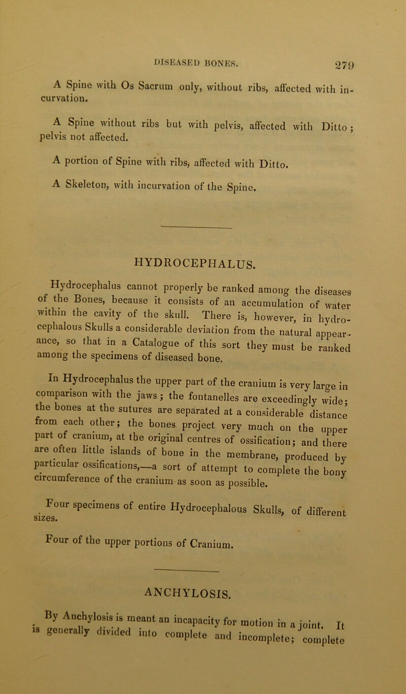 A Spine with Os Sacrum only, without ribs, aiFected with in- curvation. A Spine without ribs but with pelvis, affected with Ditto ; pelvis not affected. A portion of Spine with ribs, affected with Ditto. A Skeleton, with incurvation of the Spine. HYDROCEPHALUS. Hydrocephalus cannot properly be ranked among the diseases of the Bones, because it consists of an accumulation of water within the cavity of the skull. There is, however, in hydro- cephalous Skulls a considerable deviation from the natural appear- ance, so that in a Catalogue of this sort they must be ranked among the specimens of diseased bone. In Hydrocephalus the upper part of the cranium is very large in cpmpanson with the jaws; the fontanelles are exceedingly wide* ^e bones at the sutures are separated at a considerable distance' om each other; the bones project very much on the upper part of cranium, at the original centres of ossification; and there are often little islands of bone in the membrane, produced by particular ossifications,—a sort of attempt to complete the bony circumference of the cranium as soon as possible. Four specimens of entire Hydrocephalous Skulls, of different sizes. Four of the upper portions of Cranium. ANCHYLOSIS. By Anchylosis is meant an incapacity for motion in a joint It ts generally divided into complete and incomplete, ZtplJe