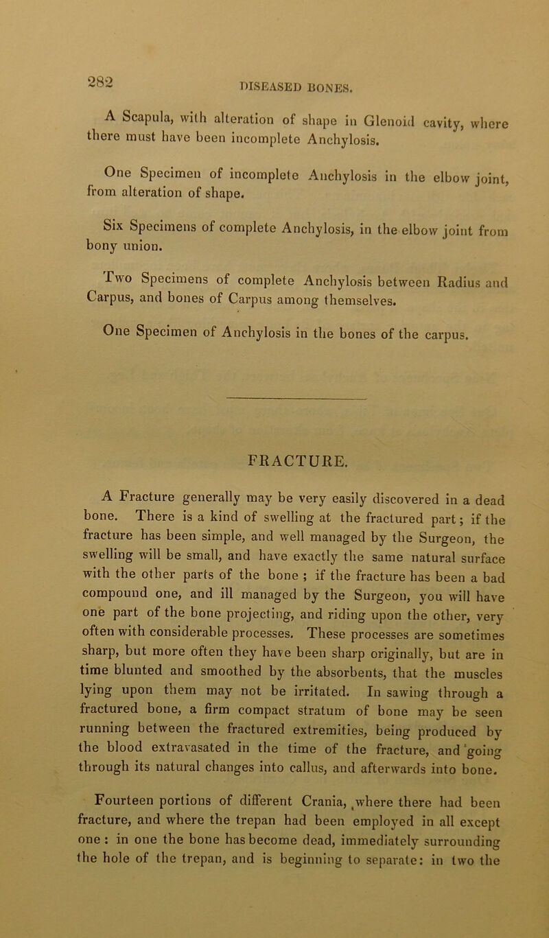 A Scapula, with alteration of shape in Glenoid cavity, where there must have been incomplete Anchylosis, One Specimen of incomplete Anchylosis In the elbow joint, from alteration of shape. Six Specimens of complete Anchylosis, in the elbow joint from bony union. Two Specimens of complete Anchylosis between Radius and Carpus, and bones of Carpus among themselves. One Specimen of Anchylosis in the bones of the carpus. FRACTURE. A Fracture generally may be very easily discovered In a dead bone. There is a kind of swelling at the fractured part; if the fracture has been simple, and well managed by the Surgeon, the swelling will be small, and have exactly the same natural surface with the other parts of the bone ; if the fracture has been a bad compound one, and ill managed by the Surgeon, you will have one part of the bone projecting, and riding upon the other, very often with considerable processes. These processes are sometimes sharp, but more often they have been sharp originally, but are in time blunted and smoothed by the absorbents, that the muscles lying upon them may not be irritated. In sawing through a fractured bone, a firm compact stratum of bone may be seen running between the fractured extremities, being produced by the blood extravasated in the time of the fracture, and going through its natural changes into callus, and afterwards into bone. Fourteen portions of different Crania, ^where there had been fracture, and where the trepan had been employed in all except one : in one the bone has become dead, immediately surrounding the hole of the trepan, and is beginning to separate; in two the