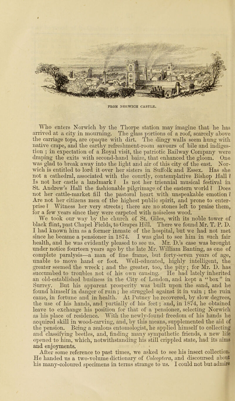 FROM NORWICH CASTLE. Who enters Norwich by the Thorpe station may imagine that he has arrived at a city in mourning. The glass portions of a roof, scarcely above the carriage tops, are opaque with dirt. The dingy walls seem hung with native crape, and the earthy refreshment-room savours of bile and indiges- tion ; in expectation of a Royal visit, the patriotic Railway Company were draping the exits with second-hand baize, that enhanced the gloom. One was glad to break away into the light and air of this city of the east. Nor- wich is entitled to lord it over her sisters in Suffolk and Essex. Has she not a cathedral, associated with the courtly, contemplative Bishop Hall? Is not her castle a landmark ? Is not her triennial musical festival in St. Andrew’s Hall the fashionable pilgrimage of the eastern world 1 Does not her cattle-market fill the pastoral heart with unspeakable emotion ? Are not her citizens men of the highest public spirit, and prone to enter- prise ? Witness her very streets; there are no stones left to praise them, for a few years since they were carpeted with noiseless wood. We took our way by the church of St. Giles, with its noble tower of black flint, past Chapel Fields, to Grapes Hill. There we found Mr. T. P. D. I had known him as a former inmate of the hospital, but we had not met since he became a pensioner in 1874. I was glad to see him in such fair health, and he was evidently pleased to see us. Mr. D.’s case was brought under notice fourteen years ago by the late Mr. William Banting, as one of complete paralysis—a man of fine frame, but forty-seven years of age, unable to move hand or foot. Well-educated, highly intelligent, the greater seemed the wreck ; and the greater, too, the pity; for Mr. D. has succumbed to troubles not of his own causing. He had lately inherited an old-established business in the City of London, and kept a “box” in Surrey. But his apparent prosperity was built upon the sand, and he found himself in danger of ruin; he struggled against it in vain ; the ruin came, in fortune and in health. At Putney he recovered, by slow degrees, the use of his hands, and partially of his feet; and, in 1874, he obtained leave to exchange his position for that of a pensioner, selecting Norwich as his place of residence. With the newly-found freedom of his hands he acquired skill in wood-carving, and, by this means, supplemented the aid of the pension. Being a zealous entomologist, he applied himself to collecting and classifying beetles, and, finding many sympathetic friends, a new life opened to him, which, notwithstanding his still crippled state, had its aims and enjoyments. After some reference to past times, we asked to see his insect collection. He handed us a two-volume dictionary of Coleojiterci, and discoursed about his many-coloured specimens in terms strange to us. I could not but admire