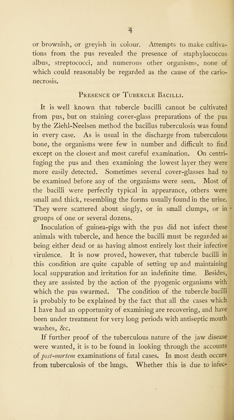 or brownish, or greyish in colour. Attempts to make cultiva- tions from the pus revealed the presence of staphylococcus albus, streptococci, and numerous other organisms, none of which could reasonably be regarded as the cause of the cario- necrosis. Presence of Tubercle Bacilli. It is well known that tubercle bacilli cannot be cultivated from pus, but on staining cover-glass preparations of the pus by the Ziehl-Neelsen method the bacillus tuberculosis was found in every case. As is usual in the discharge from tuberculous bone, the organisms were few in number and difficult to find except on the closest and most careful examination. On centri- fuging the pus and then examining the lowest layer they were more easily detected. Sometimes several cover-glasses had to be examined before any of the organisms were seen. Most of the bacilli were perfectly typical in appearance, others were small and thick, resembling the forms usually found in the urine. They were scattered about singly, or in small clumps, or in • groups of one or several dozens. Inoculation of guinea-pigs with the pus did not infect these animals with tubercle, and hence the bacilli must be regarded as being either dead or as having almost entirely lost their infective virulence. It is now proved, however, that tubercle bacilli in this condition are quite capable of setting up and maintaining local suppuration and irritation for an indefinite time. Besides, they are assisted by the action of the pyogenic organisms with which the pus swarmed. The condition of the tubercle bacilli is probably to be explained by the fact that all the cases which I have had an opportunity of examining are recovering, and have been under treatment for very long periods with antiseptic mouth washes, &c. If further proof of the tuberculous nature of the jaw disease were wanted, it is to be found in looking through the accounts of post-mortem examinations of fatal cases. In most death occurs from tuberculosis of the lungs. Whether this is due to infec-