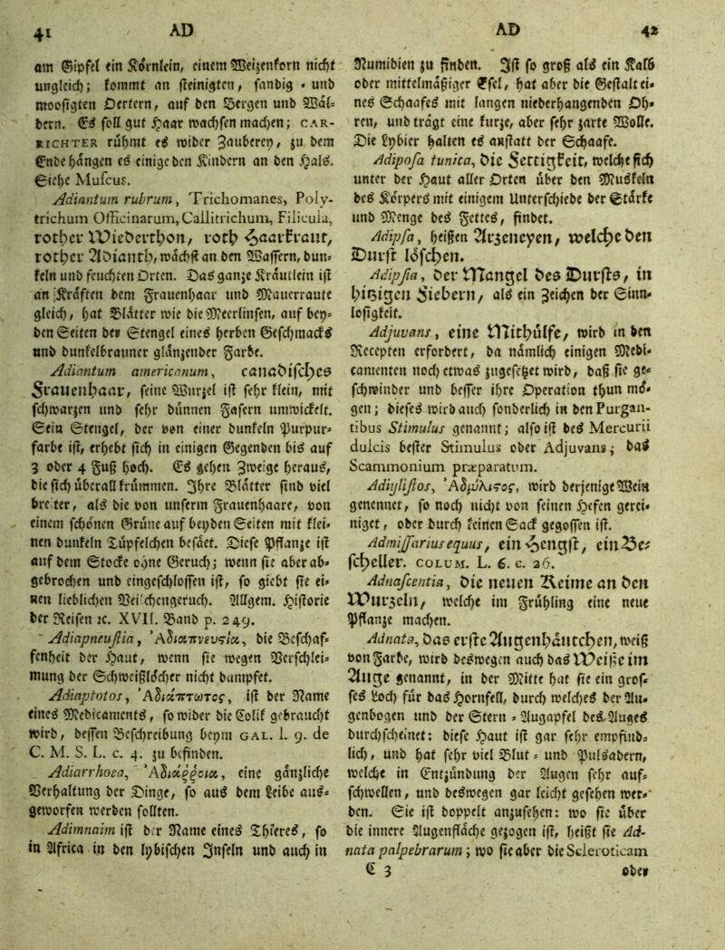 41 am ©ipftt <in Äoi-nlcin, einem SBeljenforn nicf)t ungicid); fommt an (lelnigfcn, fnnbig • unb mooftgten Derfcrn, auf ben Sergen unb SBdf» bern. fett gut .^aar roadjfen mad>en; car- RICHTER ruf;mt e^ roiber Räuberen, ju bem gnbef)dngcn eß einige ben Äinbcrn an ben 0ie^c Mufeus. Adinntum rubrum ^ Trichomanes, Poiy- trichum Officinamm, Cailitrichum, Filieuia, rotbci- U?iebeit|)Crt/ ^aciFi-aiir, rot()Cf 2löiantl;/mdd>^an ben SBaflern, bun* fein unb feudjeen Orten. Daß ganje Ärdmicin ijl ani^rdften bem §rauenf)aar unb 5)iauerraufc gleich, I;af SKntter a'ie bie5)?eerlinfen, aufbep» ben Seifen be? Stengel eineß gerben ©cfdjmacfß nnb bunfelbrauner g[dn|enber garbe. Adiantum americanum, cnilßblfc^CÖ Si'öUeiü^aoi*, feine 5Bnr|el iff fe^r flein, mit fd)mar^en unb febr bannen gafern ummicfelt. Sein Stengel, ber t>i?n einer bunfeln 'i))urpur> färbe i|l, er(>ebt ftd) in einigen ©egenben biß auf 3 ober 4 gu§ ^od). Sß gelten ^^^eige berauß, biefid) überall frumnien. 3bee Sldtfer finb nie! bre ter, alß bie pon unferm grauenbaare, pon einem febonen ©rüne auf bepben Seifen mit flei» nen bunfeln Düpfelcben befdet. Diefc ^flfanie ijf auf bem Stoide opne @erud)j wenn fie aber ab» gebrod}en unb cingcfd)Io(fen iff, fo giebf fte ei» «en licblidjen 9}ei'cbcngerud). SUIgem. .^ijforic ber Steifen jc. XVII. Sanb p. 249. ' Adiapneußm^ 'AhoiTtvfv^la,^ bie Sefd^af* fenbeit ber Äaut, wenn fie wegen 3Serfd}lei» mung ber Scbwcigldd)er nid)f beimpfet. Adinptotos, ’AdiciiTTmcs, iff ber 3?ame eineß SJJebicamentß, foroiber bie Solif gebraud)f wirb, bfjfen Sefd}reibung bepm gal. 1. 9. de C. M. S. L. c. 4. ju befinben. Adiarrhoea^ 'Ahoi^icia, eine gdnjlid)e S5erb«lfung ber Dinge, fo auß bem Seibe auß» geworfen werben foQfen. Adimnaim iff ber 3?ame eineß S^b>ereß, fo in Slfrica in ben Ipbifcben 3«fdn unb auch in 9?umibien ju frnben. 3|f fo grog alß ein ^afb ober mittelmdgiger ?fel, ^at aber bie ©eflaltei» neß Sebaafeß mit langen nieberbangenben Ob* ren, unb tragt eine für je, ober febr jarte SBotte. Die £pbier bnleen eß anftatt ber S^aafe. Mipofa tunica, öic Welche geb unter ber ^aut aller Orten über ben ?DJußfeln beß Ädrperß mit einigem Untcrfd;iebe ber Stdrfe unb 9)?cnge beß getteß, finbet. Adipfa, beigen 2fP5cncyett, welche t>en iDm-ft Idfc^cn» Adipßa, OcrtHcngel ^eöJDul•^^9/ in ^icbpni, alß ein ^eii^en bet Sinn» loggfeit. Adjuvans y eine tlTit^üIfc, wirb in ben Svecepten erforbert, bn ndmiieb einigen 9)?ebi» camenten nod)etwaß jugefe^et wirb, bag ge ge< fd)winber unb beger ihre Operation tbun md* gen; biefeß wirb and) fonberlicb in ben Purgan- tibus Stimulus genannt; alfoig beß Mercurii duicis beger Stimulus ober Adjuvans; baß Scammonium pra-paratum. AdiijHßos, ’AdjdXi-of, wirb berjenlge^Bei« genennet, fo nod) uid)t Pon feinen ^efen gerci» nigef, ober bureb feinen Saef gegogen ig. Admijßarmsequus, eiii^ocngfl, ein25cf fc^cUer. coLUM. L. 6. c. 26. Adnafcentiay Dtß neuen Kcitnc an 5ctt t^ni'seln/ welcge im grübling eine neue ipganje mad)en. Adnatay öae ei-|te2fngen[;dutc^en,wei6 Pongarbe, wirb beßwegen and) baßVDetgeim 21nge genannt, in ber 5Diitfe bat fit ein grof« feß ilod) für baß ^ornfeß, burd) weld)eß ber 9Iu» genbogen nnb ber Stern »Slugapfel beß.ülugeß burd)fd)einet: biefe .^aut ig gar febr empgnb» lid), unb bat febr Piel Slut» unb ^ulßabern, welche in Sntjünbung ber Slugen febr auf* fd)wcßen, unb beßwegen gar leid)f gefeben wer»' ben. Sie ig hoppelt anjufeben; wo ge über bie innere 5lugengdd)e gezogen ig, b<igf ge Ad- nata palpebrarum; WO ge aber bie Scleroticam € 3 cbe»