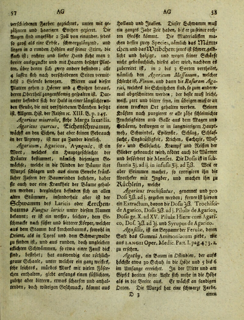 Wrfcfiifbcnm g«r6rn unUn mit gt* jarjnten unö f)rt«rt<jftt €pi§tn (^qicrct. £)ie Slugen ftnb tm^tfflhr 2 “^oÜ pon einanbfr, i?be^ fo grog al^ fin? €rbf«, fd)tPrtr|gli^njmb, unb frtgfti in 2 runbcn ^o'bitn auf feimr vStirn, bie ffad) i(l; rccf)ter unb linftr ^anb fle^t man 2 6r<ite au#g<i'acfte unb mitJ^aartn bcfcfete lipiat. ten, über benm fid) iwtp anbere befinbcn; alle 4 laffen firf) nach Perfd)iebenen Reifen permit= tel(t 2 ©elenfe bewegen. Witten aud biefen glatten geben 2 ^rfrner unb 4 ©pi|en btrauö, beren Obertbeil |angenf(?rmig gefpalfcn i|T. 2)ar» unter bejünbef ficb ber ^al^ in einer lang(ld)triin. ben @rube, bie mit perfebiebenen ^drteben befe|t ifl. Bttgem.,^i(l. ber Keifen k. XIII. 35. p. 245. ^garicur mineratit^ ffebe Marga faxatilis. yjgaricus quercuf^ (Cic^enfc^Wßimil; tpdcbft an ben Sieben, i)at aber deinen ©ebraueb In ber Slrjenep, ifl nur ju ^unber bienlicb. ^garicumy Agaricus, ‘Ayx^ixof, ifl ein ?Sort, welebed ein Jjauptgefcblecbte ber Ärdutcr bejliramet, ndmli^ biejenigen ®e» tpdebfe, t»flcl)e in bie Kinbcn berißdume ihre 5Kur|eI fcblagen unb aud einem ©etpebe frdnf« lieber gafern ber 25aumrinben befleben, baber fte auef) por eine Äranfbeit ber Sdumc gebal» ten werben; bergleicben befiinben fiel) an aßen nifen ©tdmmen, infonberbeit aber ifl ber 0c^it>öinm be^ Lands ober iSerc^en# haum^ Fungus laricis unter biefem Kamen befannt; er ifl ein tpciger, leid)ter, bem @e> febmaefe n«d) fu§er unb bitterer Körper, welcher «u£ bem ©tamin bed ^er^enbaumd, fowobl in Orient, ald in Xprol unb bem ©cbwarjwalbe |U finben ifl, unb aud runben, bech ungleieben ediebten ©d)wdmmen, fo etwa einer gaufl bi(f (inb, beflebef; b«i audwenbig eine rdtbli^ graue ©ebaafe, unter weld)er ein gan| weifed, febr leiebted, inurbcd Warf mit Pielen gdfep eben enthalten, giebt anfangd einen fugliebten, julepf aber bittern, etwad febarfen unb anbal« fenben, boeb wibrigen Gcfcbraacf, fdramt aud .^oOaub unb 3tafi«t- SDiefer ©cbwamm mug ein ganjed 3<>br 3cif haben, bider jufeincr red)« ten ©ro'ge fdmmt. ©ie Waterialiflen ma» eben beffen jwfp Species,ndm(ieb bad tTtdnil# d)cn unb badtPcibc^cn: jened ifl febwer,gelb» lid)t unb boljigt; unb wegen feiner ©ebdrfc niebf gebrdud)lid), biefed aber wirb, naeftbem ed jubereitet ifl, in 2 bid 3 ©orten pertheilef, ndmlicb ben Agoxkum Mtjfanuiny »elefitr \6){t&fi '\^tFinum,mb bann bk Rafuram Aga- rk'u welcbed bie ©d)ni§d)en ftnb, fo |um anbem» mal abgefebnitten werben ; ber befle mug leicht, weig, jart unb bitter fepn, im übrigen mug er an einem troefnen Ort gehalten werben, ©einen Ärdften nach purgieret er äße jdhe febleimiebte geudhtigfeiten unb @aße nud bem Wagen unb ftebdrme, bedwegen er in langwierigem .^aupt« weh, ©cbwinbel, Spilcpge, ©cblag, ©cblaf- fttCbt, <2;ngbrugigfcif, Reichen, Sacbeyte, ©af« fer«*unb ©elbfud)t, Ärampf anb Keigen ber ©lieber gebraud)t wirb, tdbtet auch bie ©urmet unb befdrbert bie Menfes. ©ieDofisiflinfub- ftantia 5j. ad ij. in infufis 5ij. ad ^/3. ©eH er aber ©rimraen machet, fo corrigiren ihn bie Slpothefer mit 3ngber, unb machen ihn {u 2Küd)kir\f welche Agaricus trochifeatus, genennet unb pro Dofi 5/3. ad j. gegeben werben; ferner Ifl hiepon ein Extradum, bapon bie Dofis ^/3. Trochifei*- de Agarico, Dofis 5/3. ad j. PiJulw de Agarico, Dofis gr. X. ad XV. Pilulw Hiere curri Agarr- co, Dof. ^/3. ad ^j. unb Syrupus de Agarico. Agaßllis, ifl ein95epuumeber Ferulse, beren ©aft bad Gummi Ammoniacum giebt, Wie and LANGii Oper. Medic. Part. I.pag.4 73.2. ju erfehen. Agathy^ ein 35aum in Oginbien, ber aufd hdchge etwa 30 ©chuh in bie 5?o'he unb 5 bid 6 im Umfange erreid)ct. 3*^ ^tr SKitte unb am ©ipfel breiten feine Siege geh mehr in bie ald in bie 35reite and. Sr wdd)g an fanbigen Orten. Sie ©ur|el h«t eine fi^warje garbe, S 3 einen