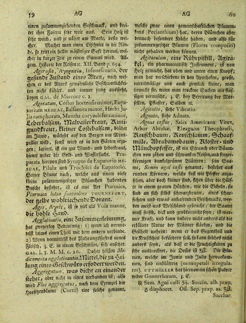 «men ^ufattinienjid)cnbcn €cfH)marf, «nb Uth Ut i^rc grtfcni fe^r ircif nu^. 0eiu J?oIj ijc fc^r tveid), unb je u<5oer am ?0?arfe, beflo wei» d)er, COiöc^ct man etnen 0'f5)nttt in ble 9iin=> be, fo frirtein ()eßer mafferijer (^'afe f;erau6,njcf< cf)er in fürder 3fit }» (^'nuiimi mirb. 9iÖ» §em. ^i|!ürie bcrSicifeiuc. Xll.55anbp. 654. ^gcrafiaA'^vi^cii^ici, Infcnefcentm, Cd* gcfimöe Suflanö cine^ nad) tvcl« djen er b«^ {jeivcbnlidje 3>crd)iverlid)fei» teil niefjf fut)ler, unb imnief jung au^fie^f, Jiepm GAL. de Maicore c. 2. j^^e^atum, CoAus ]iortearisminor,Eupa- torium MESU A e, Balfaniita niinor, Herba Ju- lia campborata, MentJia coiymbiferannnor, HtbtxhaX^am, tl7aluß)tfrfi-niif/ igmiöCröiit/ Heiiun- Cojlcbßlföm/ binf^t Si ^miio, tväcbfef auf ben SBergen um s9?oiit=- peflier wHb, fonjl mirb es in ben ©arten erjo« gen; layiref, ijt ein gut SBuub= unb Seberfrnut, bienet »iber ble ©efb« unb Sl'afrcrfud)t, Prx- parati f)ieriöonfiub Syrjjpu.s de Eupatorio me- SüAE, Pilula: unb Trochiici de Eupatorio, ©einer SBAime nad), iveld)e mtö einem uide {(eine jufammengefe^te ?3iumd)en babenben 55ufcbe beließet f ‘fi «ne 3lrt Ptamiica, Ptarmica lutea fiaveoleru tourneeort, 5>er g^lbe wol?Iitccbcn^c2^ornnr. j^ges, Ayik, ift fe biel «lö Vola maiius, Agglutinaüo, eiiic Sujamiiicwlciimmg, l^at itveperle^ SBebeuiung: i) u>eun id) bermit* telfl £eim^ einen ^-beii mit bern anbern ücrbinbc. 2) SJenn befmittelft bcö Dilabrungdfafte^ neue^ gicifd)/ j. & in einem ©cfd)miire, fid) anfe^et. GAL. l 3. M. M. c. 10. ^2>abcr f>citjcn Me- dicametita agglntinantiaX) littcl/C’lC 5U Iilug cinc9 cvfo^crtwci'^ciK MggTegatuifi, C*icbf^ ciunnC'cp ftc^cr, aber nid)t in eine^ nerbuubeu ift; alfo wirb Flos aggregatus, md) bem ©jccmpcl bec (Corni) eine foldje genannt, weid)« jttjat einen genieinfd^aftndjen ^fumen^ frei!? i^Perianthium) f)at, bereu 35Iumd)en aber bennod) befonbere ^eldje haben, unb alfo für jufainmengefe^tc iBiumen (Flores coinpofiti) nid)t gehalten werben fonnen. Jgitaculum, eine Kiih^vpittiU, Tl^itae fd, ein pharmaceutifdj ^nftrument, ifl ton 5pc(| gemad)t, hat oben unb unten einen ^lopf; man hat terfchicbene in ben 5ipothefen, große, mittelmäßige unb aud) ^ifmlid) Keine, man brand)t ße, wenn man tredcue ead)en mitßtif^ figen termifdjf, j. ©. bep Bereitung ber SOJor^ feUcn, ipfiaßer, ©alben ic. MgitatiOy ßehc Vibratio. Mgnata^ fich« Adnata. Mgnus caßm, Salix Americana, Vitex, Arbor Abraha.’, Eleaguoii TheophraAi, 2\ciifc^bminj, Z\cufct)Ii:mm, ©c^uaf; miUe, 7ibvab(inidbanm, 2\Iolbei’» iirtC» tlTuiiC^öpfcffer, ifl ein ©trmid) oberiBaum* chen ton jah<n unb fd)Wanfen9ieifen,unbfinger* förmigen feunfelgrünen Qjlattcrn; fein 6aa^ me, Semen agni caßi genannt, begehet au^ runben .Kornern, weld)e faß wie ipfeffer an^u» fehen, aber bod) Keiner ßnb, fi^en über bie.fpatf* te in einem grauen 5pi'dd)cn, wie bie 0cheln,|tc finb an fld) felbß fchwarjbraun, eined fdjar* fiehten unb etwa«? auha!tenbcn©efdjma(fd,wer» ben meifr au^ 5Be(fd)lanb gebradjt; ber ©aame muß frifd), bid unb grobfbrnid^tfepn; iß war. mer jtraft, unb fann bahero nid)tanber^ali^bic erfnltete Statur ber 5)?anner ßarfen, unb bie ©eilhcit mehren: wenn er basS ©cgenfheil nnb bie^eufd)heit befdrbern foö,fofannfolcheönid)f anber^ fepn, ald baß er bic §eud)tigfeiten ju fehr auiftrodnet, bic SPoßd iß 5/3. ?>ie S3lu. men, weld>e im (julio ^ertorfora* m«i, finb einblättrig (monopetali irregula- res), ettmuller hat hierton ein fchdn^uttcr Wiber Gonorrlioeam, j. ©. 9t Sem. Agni caAl 5'j» Succiii. alb.praep. J diaphoret. Oll. Sep. praep. aa. 5/3. Sacchar.