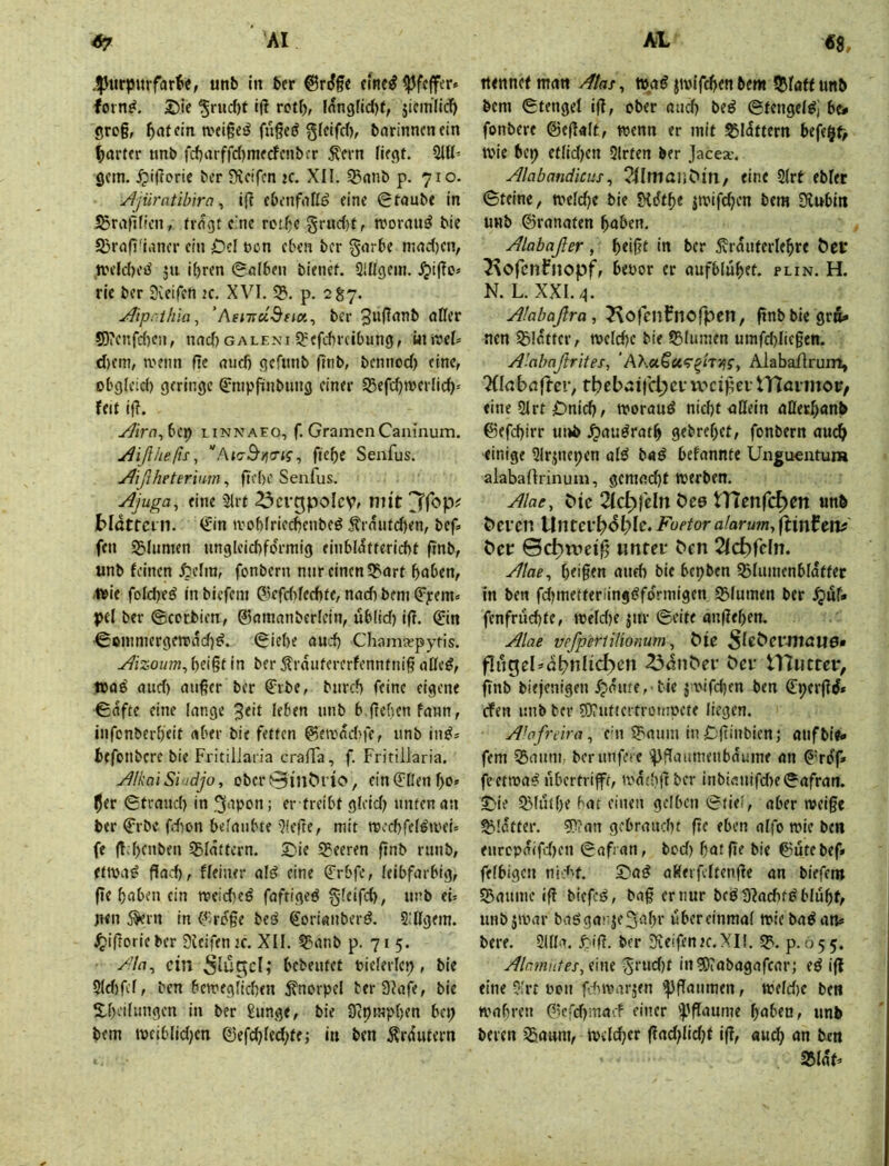 .ipurpurfart'e, unb In ber ©riJge elne^ Pfeffer» foin^. 2)le '5ruc()t ijl retf), fflngfidjf, jicm’lidf) gro§, ^>nfcin Wfige^ fngeff gfctfdv bnrinnenein Ixirtfr tinb fd)iuffd)mfcfcnbfr ^ern üfßt. 5lß’ gern. ^i|Toric ber flveifcn K. XII. 25nnb p. 710. yjjürcitibira ^ i(t cbenfaßö eine glaubt in SSrnllficn, trrtgt c'ne retf^c §rud)f, njornn^ bie Sjrnfj'lancr ein Dd bcn eben ber garbe mad)cn, tv'eld)e»^ ju ihren Kolben bleiief. Qlßgein. .^ifTo* rie ber Sieifen k. XVI. 3?. p. 2^7. Jl'iprth'ia^ ‘AfiTTuBficx., ber 5D?er.fd)cn, nnd) galeni efdircibung, in >rel* d)cm, rreitn üc nud) gefunb |lnb, bennod) eine, obgleid) geringe 0iipfiinbimg einer 95efd)roerlid)= feil ijl. Aira^hvt) linnaeo, f.GramenCaninum. j^ißlteßs, ft'cbc Senfus. yfißheterium, ßebe Senfus. yijuga, eine 3lrt ^crgpoIcVf niit bldttcin. €in ivobfried^enbe^ Ärdiitd)en, bef fen 33Inmen ungleicbformig einbldtfericbt ßnb, unb feinen £?elm, fonbern nur einen iS'nrt haben, wie foldje^ in bicfein 03efd>fed)fe, nnd) beni ^yem» pel ber ©cerbien, ©ninnnberlein, ub(id) iß. ©n ^ßinmergetrdd)d. ^iehe auch ChamaepyHs. yiizoum^ heißt in ber 5?rmitererfenntniß oßeg, tt>aö mid) außer ber €rbe, burch feine eigene €afte eine lange 3«'t leben unb b.ßehenfaun, infonberheit aber bie fetten ^etrad>fc, unb in^* befonbere bie FritilJaiia crafla, f. Fririilaria. yJlkaiSi'idjo, ober0int>ri<?, ein^Üenho* Ijer 0traud) In .^apon; er treibt gleid; untenan ber €rbe fd)on belaubte'7!efte, mit roechfel^ti'eü fe ß-htabfu ^Blättern. 2)ie Leeren ßnb runb, ettva^ ßad), f(einer alö eine (?rbfe, leibfarbig, ße haben ein treid)eö faftigeö §(eifcb, unb eU neu 5^rn in (5roge beö €oriauberd. 2:ßgem. ^ißorieber Sieifen tc. XII. t^anb p. 715. y'/n, ein bebeutet btelerlep, bie 5ld)fcl, ben betregfichen Knorpel ter SJafe, bie SLh'ifnugen in ber ßunge, bie Sepraphen bei; bem tvciblid^en ©efchled^te; in ben .Ärdntern itennetmati /Jtas^ »ag puifeßen bem 55Iaff unb bem 0tengel iß, ober and) be^ ©tengel^i be# fonbere ©eßalt, wenn er mit 55ldttern befe§t> wie bep et(id)en Qlrten ber jaeex. Alabandkus^ ?IImaiiC»in, eine 2(rt ebler ©telne, weld}e bie Sidtf)e iwifdjen bem Diubin unb ©rannten haben. Alabaßer , hdßt in ber 5vrauterlehre t»et 2\ofcnfllopf, bepor er aufbluhet. plin. H. N. L. XXL-i. Alabaßra, Kojcnfnofpcn, ßnbbiegrfi* nen 33lattcr, welche bie 55lumen umfd)Iic§en. Akahaßrites, Alabaflrum, Tdabnfter, tbcbaifdjcvwcißcvtTföimop, eine 51rt £)nich, woraud nicht aßein aflerhanb ©efchirr ui»b .^auörath gebrehet, fonbern auch einige 3lrpiepen afö baö befannte Unguentura alaballrinum, gemacht werben. Alae, Mc Qid^fdn bes tTTenfc^m unb &ci*cn Untevl)6}^U, Foetoralarumy ftinfctu ber ©ch>weiß «nter ben 2ld)fcln. Alae, hdßen and) bie bepben Sbliunenblatter in ben fdjmetterüngöfdrmigen SBIumen ber .^uf» fenfruchte, weld>e pir ©eite anßehen. Alae vpfpertilionum, bie ^Icbcrwune» flugel=>öbnlicben ^dnber bei* U7«ttciv ßnb biejenigen ^aiue, tie jwifchm ben €perßd* efen unb ber ?0?utic! trotnpete liegen. A’ofreird^ c'u 3?'aum in JDßinbien; nufbie« fern 33aum ber nufere '^ßnumenbaume an ©rdf* feetwa^ ubertrifft, iva'hßbcr inbiauifd>e0afran. ^te Q^ltlthe bat einen gelben ©tief, aber weiße glatter. ?P?an gebraucht ßc eben aifo wie ben eurcpaifd)en ©afian, bod) hat ße bie ©utebef* felbigeu nid’-t. Saö aßerfeltcnßc an biefem S^aume iß biefe^, baß er nur bed 3?ad)td bluh^ imbjwar baögarje^ahr über einmal wiebadan* bere. 21ßa. ber 2fieifenK.XI!. 3?. p.055. Alnmutes.zm 5i'nd)t in SD^abagafear; ed iß fine 5,‘rt oen f^iwarjen ^ßanmen, weld)e ben wahren ©cfd)macf einer ’^ßaume haben, unb beten jSawm, Welcher ßadßidjt iß, aud} an ben 25IaP