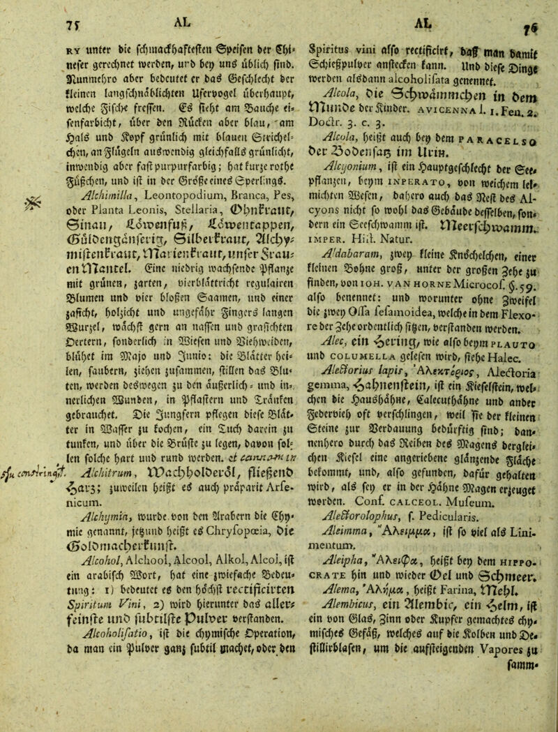 0 RY unter bic fcf}inacf5aftejTen ©petfen feer nefer gercd)net iwcrben, uri> 6cp unö ubtid) finb. 3iunmtf)ro aber bebcufef er ,baö ©efcl}(cd)t ber fkinen langfdjnabUd^ten Ufcröogcl uberfimtpt, TOCldje gifdK freffen. Saudje <i* fcnfavbid)t, über ben Siuefen aber b(au,'om unb 5?epf grunlid) mit bfaueii ©tridjek (^en,angfugefn auömcnbig gfeidjfaflö gruntid)t, tntuenbig aber fa|^purpurfarbig; batfurjerot^e 5ü§d)en, unb iff in ber ©ro^eeine^SperJingff. AlchimilUi^ Leontopodium, ßranca, Pes, ober Planta Leonis, Stellaria, <Dl;>nfraUt^ 0maii/ ildirmfu^/ il^>rpeiitöppen, (B^ulPcnganfeti^, ©ilbeifrmit, 2(fd;y; iniftcitf raut, tTIai ienPraiif, unfer 5i’ou? cntlTßUteL ©ine niebrig waebfenbe i)3flanje mit grünen, jarfen, üierblattrid)t regidairen «Blumen unb Pier bloßen ©aamen, unb einer jaftebt, boljidjf unb ungefabr ginger» fangen «Blurjef, tt>ad)ff gern an naffen unb grajicbten £)crtern, fonberficb in liefen unb 25iebipcibett, blühet ira «Diajo unb bie ißfatter bei* ien, faubern, jieben jufaininen, ffiUen ba^ 5B(u« ten, werben bee^tpegen ju ben augerlid) * unb in» nerlid)en «Sunben, in ^gagern unb Xrdnfen gebrauebet. Sie ^nngfern pgegen biefe ©Idf» ter in SBaffer |u fod)en, ein ijneb barein jn tunfen, unb über bic ^rüge $u fegen, bapon foL len folcbc hart unb runb tperben. ci in sju Alchitrum, tPac^l^olöei’oI, fHegeiiÖ ■^ai‘5; jmpeilen bdgt aud} praparit Arfe- nicum. Alchymin, tpurbe.pon ben Sfrabern ble (Ibb* mic genannt, je^unb beißt e^ Chryfopoeia, Pie (SolPmacbeifimlf. Alcliool, Alcool, Alkoi, Alcol, ig ein arabifd) ?ÖSort, bat eine jtpiefacbe Sebeu» tiing: i) bebeutet eg ben bdd)g vectificivtcn Spintuni Vini, 2) tpirb biemnter baö allcv# feinfle iinP fubtilfle Pult>er Perganben. Alcoholifatio, ig bie dlpmigbe Operation, ba man ein ^ulpcr ganj fubtil öia^et, ober bm T« Spiritus vini affo rectigefrf, man baraie ©djiegpufper angeefen fann. Unb biefe Singe werben afgbann alcoholifata genennef. Alcola, Pie Schwämmchen in Pem tnnuPe ber^inber. avicennaI. i.Feu. 2. Doclr. 3. c. 3. Alcola, beißt auch be9 bera p A R A c E L s o Per ^oPenfa^ irn Urin. Alcyomum, ig ein Xpauptgefcblecbt ber ©ee# pganjen, bepm inperato, pou weidjem lef» mid)ten 5Befcn, babero aud) bag g^cg beö Al* cyons nicht fo tpobl bag ©ebaube begelben, fon* bern ein ©cefd^tpamm ig. tKeerfchwamm.. iMPER. Hiii. Natur. Aldabaram, jtpep ffeine ^ndd)elcbett, einer ffcinen 55©bne groß, unter ber großen Jebe ju gnben,ponioH. van HORNEMicrocoP §.59. affo benennet; unb worunter of;ne 3weifel bie jwep OlTa fefamoidea, welche in bem Flexo* re ber 3ef)e orbcntlid) ggen, Perganben werben. Alßc, ein '^erin^/Wie alfobepinPLAUTo unb COLUMELLA gefefen wirb, gebcHalec. Ale&oriuf tapis^ ’AKeTiTe^iog, Aledoria gemma, ^ahiieiiflein, ig ein Äiefelgein, wek eben bie .^augbdbwe, ßafecufbabne unb anbec geberpieb oft Perfdgingen, weil ge ber fleinett ©teine $ur «ßerbauung bebürftig gnb; ban* nenbero burd) baö Üveiben be^ ©Jagend bergfei* d)en ^iefef eine angeriebene glanjenbe gfacbe beloramt, unb, affo gefunben, bafur gebafteit wirb, at^ fep et in ber ^dt)nc «OTagen erzeuget werben. Conf. calceol. Mufemn. AleSiorolophus, f. Pedtcularis. Aleimma, AKsi[Äp», |g fo piel al^ Lini- mentum. Aleiphtty AKei(p«,y bep bem hippo- CRATE bin unb wieber (Del unb ©chmeer* Alernuy *AÄ>7fta, beißt Farina, tTTchL Alembkusy ein Qlkmbic, ein '^elm, ig ein pon ©faö, 3inn ober Äupfer gemo^teö d>p* mifd)e^ ©efdß, welchem auf bie j^ofben unb Se* giDIrbfafen, um bie aufgeigenbm Vaporesju famtn*