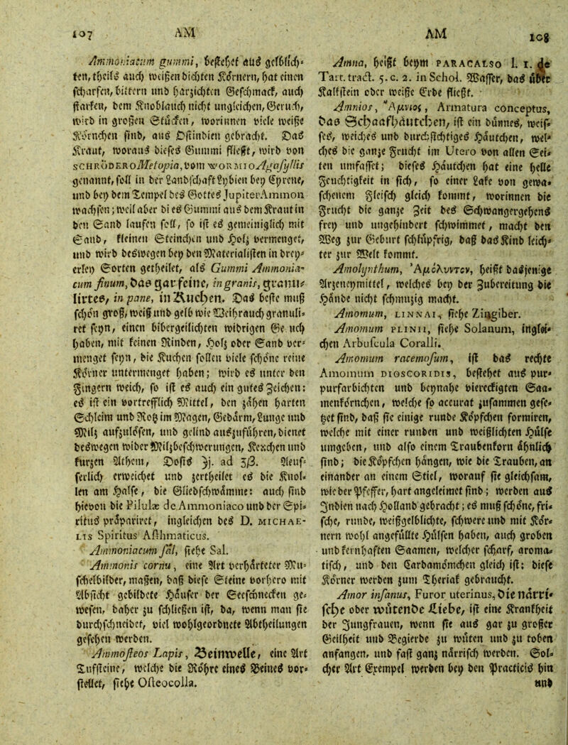 icg Ammo!:ta:nm gummi, $ef^ef}Cf gc(6fidf)‘ ßud) w>cigenbid)fen 5tornern, unb f;arjid)fcn ©efdjmocf/ aud) (ra»f«B^ bcm Änobkud) nid)f uti3[dd)cn,@crudv ft'irb in großen ©fucfcn, roorinnon ticle Stornd)Cu finb, nng C^ftinbien gc6rad)t tvovmtl bicfeö ©ummi ffieft, wirb bon SCHRÖDER oMetopia, l’om xs'o r m i oAgafyllis gcnnnn^fcil in bcr^nnbldaift^pfeienbep (£prcne, unb bei) bein 'Stempel be^ ©otte^ JuplterAmmon andjicn; n?ci(aber bi eö ©umiui bemÄrmitin ben 0nnb laufen fett, fo ift eö genieiniglid) mit 0nnb, fJeinen Steindjen unb Jjo^ bcrmcngef, unb tvirb bcöiöcgenbe^ben^Oiateriölifleninbrcp^ crfei) 0orfen getf)eilet, afö Gummi Ammonh\-> cum, finum^^a&^avftiwc, in grame, ^vanUf Hvte0/ inpane, inÄllct)en. bejTc inujj fd)cn gvog, wci§ unb gelb tvie Oci^raud) granuli» ref fcpn, einen bibergei(id)ten wlbrigen ©e ud) l)oben, mit feinen Sflinben, Äofj ober 0anb öer* menget fe»;n, bie 5?ud)en foQen Diele fd)onc reine 5?e?vncr untermenget f)abenj mirb cö unter ben Ringern meid), fo i|! tß aud) ein guteö3eid)en; (ß ift ein Dortrefflid) ?DiitteI, ben jab^n barten 0d)lcim unb 9icg im 5)?agen, ©ebdrm, Sungc unb aufjuldfen, unb gclinb nu^jufubren, bienet beömegen mibcr!0'fil}befd)mcrungen, 5?eKd)cn unb furjen 2ltf)cm, }j. ad 3/3. 9leuf= ferlid) ertveicbet unb jertbeilet iß bie 5\uol* len om .^nlfe, bie ©nebfd)tDdmme: aud) ftub bicöon bie Filula; de Ammoniaco unbber0pi* dtud prdpariret, ingleid/en be^ D. Michae- lis Spiritus AfHirnaticus. Aimnoniacmi Jal, fie^e Sal. Ammonis cornu, eine 9lvt Dcrf)drteter 93?u= fcbelbilber, maßen, baß biefe ©telne borßero mit Slb)ld)t gebilbefe ^dufer ber 0ecfd)nccfen ge< tnefen, baber ju fd)ließen iß, ba, wenn man ße burd)fd)neibct. Diel wobigeorbnete Slbtbellungen gefeben werben. Ammoßeos Lapis, ^eimvelle, eine 2lrt S.ufßcinc, meld)e bie Svdbrc elnet^ ^eiue^ öor* ßeOet, ßeb« Ofteocolla. Amna, beißt paracalso I. i. de Tait.tracT:. 5.G. 2. inSchol. 5SJajfer, bad uWe 5?a(fßein eber weiße ©rbe ßießt. Amriios, “Apvioi, Armatura conceptus, Öcl^ßnfl;dutcbcn/ iß ein bunneö, weiß fed, weid)e(^ unb burcbßd)tigeö ^dutd/en, wel- d}eß bie ganje §rnd)t im Utero Don aßen 0er* ten umfajfet; biefe^ d?dutd)en ()at eine beßc geud)tigfeit in ßd), fo einer 2afe öon getDa* fd)cncm gleifd) glcid) fommt, worinnen bic grud)t bie ganje ^eit biß ©d)wangergeben3 frei) unb ungebinbert fd)Wimmet, mad)t ben 5ffieg jur ©ebnrt fd)hlpfrig, baß baö5?inb leid;^ ter jur S??elt fommt. Amolynthum, ’A/mcAvvtcv, b^ißt batffenige airjenepmittel, weld)e^ bep ber ^n^ffdtung bie .^dnbe nid)t fcbmujig mad)t. Amomum, linnai, ßebc Ziijgiber. Amomum plinii, ßebe Solanum, ingfot* ^en Arbufeula Coralli. Amomum racemofum. Iß ba^ rechte Amomum digscoridis, beßebet au^ pur* purfarbid)ten unb bepnaße Dteretfigten @aa* menfo'rnd)cn, weld)e fo accurat jufammen gefe* §et ßnb, baß ßc einige nmbe Äopfeßen formiren, welche mit einer runben unb weiglicßten .^ülfe umgeben, unb aifo einem Sraubenforn dbnlitß ßnb; bie j?o'pfd)cn bdngen, wie bie Xrauben, an einanber nn einem 6tiel, worauf ße gleir^fam, wie ber ^feßer, bnrt angeleiraet ßnb; werben au^ 3nbien nad) dpoßanb gebrad)t; tß muß fd/dne, fri* fd)e, runbe, werßgelblid)te, fd)Were unb mit 5vdr* nern wo()l angefußte djulfen bnben, aud) groben unbfernbaften ©aamen, weld)er feßarf, aroma* tifd), unb ben ßarbamdmeßen gleid) iß; biefe Corner werben jum Ibtrißf gebraucht. Amor infanus,, Furor uterinus, öteilrtrPl* fc^e ober wllten^c Hiebc/ iß eine Äranfbeif ber 3imgfrauen, wenn ße and gar ju großer ©eilbeit unb 9?cgierbe ju wüten unb ju toben anfangen, unb faß ganj ndrrifd) werben. @oI* d)cr 5lrt ©pempel werben bep ben ißracficid b'»» tinb