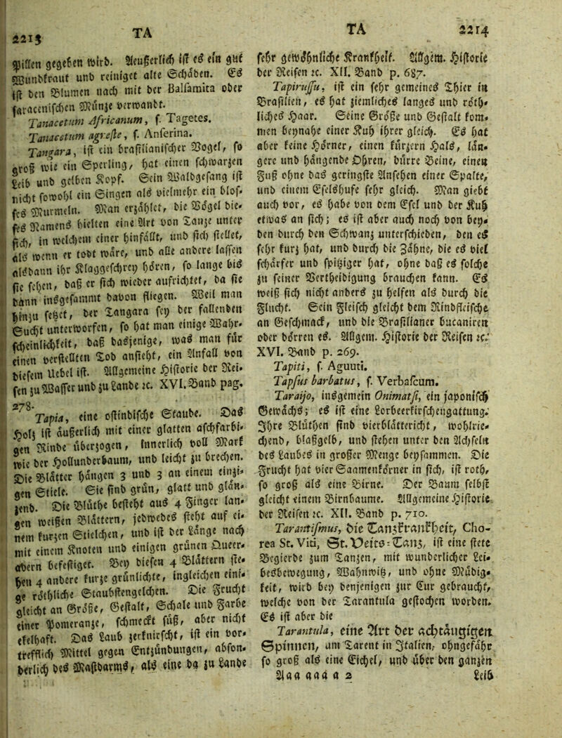 1215 «iaen gfseBen wirb. ^ eltt BUt 5Cunbfr<uif unb reiiugcf alte *&d)at>«n. (jl t»en S5luiticn iirtcb mit i»cr ßalfamita ober f«raccnifd)cn s5)?«nj« i>?rrcantt. Tanacetutn Africanum, f. Tagetes. Tanacstum agreße, f. Anferina. Ta»gara, ift ein bra(tiinnifd)ec 93o9<I, fo öro§ wie ein epcriing, W einen fd)warjen m unb gelben Äopf. 6ein ^Ib'nlbgcfang iß tiid)t foTOol)! ein Singen olö niclme^r ein blof. feg 5?^uime(n. 9)^an crja()Ict, bie 25dgel bte« L grämend hielten eine 3lrt Pon Xanje unter fich in a'cld)cm einer binfaUt/ ««1^ fid) (Relief, olg^rocnn et tofet tvnre, unb nüe anbere (offen flldbaun ihr 5llaggefd)re9 ()dren, fo lange m fie fehen, baß er fid) »ieber aufnd)tef, ba fie bÄnn indgefammt bauen fliegen. ?Ißeil man feinm fefeet, bet Xangara fei; ber faüenben 6ud)t unteriporfen, fo bat man einige Iffiabr* fdieinlkbfeitf betg badjenige, einen uerßeaten Xob anftebf. ein SlnfaO öon tiefem Uebel iß. 5iflgemeine ^ifiorie ber Siet, ftnju Gaffer unb juSanbeK. XVI. ^«nb pag, Tapiai eine ojlinbifd)e Staube. Sa# Äolj iß dußerlid) mit einer glatten ofi^farbi* gen t<einbe uberjogen, fnnerlicb PoU ?0iarf wie bet .^oflunberbaum; unb leiebt jn bred)en. Jöie S5ldttcr bangen 3 unb 3 an einem einji» gen Stiele. Sie ßnb grün, glatt unb glan» wnb. Sie Ißlütbe behebt au# 4 len weißen j^ldttern, jebwebe# frebt auf et* nein furjen Stield)en, unb iß ber Sange nac^ mit einem S?noten unb einigen grünen üueer- öbern befeßiget. S^e») biefea 4 ße. 4 anbere furje grfinlid)te, ingleidjen etnf- oe rdtblicbe Staubßengeldjen. Stc Srueßt qleiebt an ®roie, ©eßalt, Sd)a(e unb Saroe einet taeranje, febmeeft füß, aber md)f (felbaft. Sa# Saub jerfnirfd)t, iß ein bor« trefflid) Mittel gegen (£ntiünbungen, abfon. terlicb be# Ü!Rafibatm#f febr gettjdbnildbe j^ranfbeif. Slflfgem. j^ißorie ber IKeifen ec. XII. ^anb p. 687. Tapirußu, iß ein feßr gemeine# Xbiet in SSraßlien, e# bat |ieralidbe# lange# unb rdtb* Iid)e# /paar. Seine ©rpße unb ©eßalt fom* men bepnaße einer 5?ub ibter gfeicb* S# bat aber feine ferner, einen für|ern ^?a(#, (an« gerc unb bangenbe Obren, bürre 'Seine, eine« giiß ebne ba# geringße Slnfeben einet Spalte, unb einem ©fe(#bufe fef;r g(eid). SOian giebf oueb eor, e# habe pon oem ^fef unb ber Äub etipa# an ßcb; e# iß aber auch noch bun bep« ben bureb ben Sd)tpanj unterfcbicben, ben ei5 febr furj bat, unb burd) bie gdbne, bie e# Piel fd)drfer unb fpitjiger bat, ohne baß e# fofeße iw feiner 93ertbeibigung braudjen fann. ©# weiß ßd) nid)t anber# ju b«lfen al# bureß bic glucßf. Sein gleifcß gfeießt bem Üiinbßcifcße on ©efd)macf, unb bie Sraßflanet bucanirett ober bdrren e#. SlÖgcm. ^ißorie ber Ülelfen ec; XVI. S<inb p, 269. Tapiti, f Aguuti. Tapfus barbatut, f. Verbafeum. Taraijo, in#gemein Onimatfiy ein fapom'fi^ ©ewdeß#; e# iß eine 2orbeerfirfd)engattung.' 3ßre Slütßen ßnb Pierbldtferid)t, tpobirie* djenb, blaßgelb, unb ßeßen unter ben 2ld)fe(tt be# ilaube# in großer C0?enge bepfammen. Sie grueßt ßat PierSaamenfdrner in ßcß, iß rotß, fo groß ü(# eine Sirne. Ser Saum felbß gleicßt einem Sirnbaume. SlUgcmeine J^ißoric ber Jleifen ec. XII. Sanb p. 710. Tara^ttifmus, öfe Cho- rea St. Vid, 0t,X>ei't0-Xau3/ iß eine ßete SSegierbe jum Xanjen, mit wunbcriicßet 2ei« be#bewegung, SBoßnipi^, unb oßne SOjübtg« feit, wirb bep benjenigen jur ^ur gebram^f, wefeße Pon bet Xaranfula geßod;en worben» ©# iß aber bie Tarantula, eilte 2fi*t t)ec (tc^taugigett 0pmiicn, um Xarent in 3fa(ien,- oßngefaßr fo groß al# eine ©ii^el, unb über ben gani^rt 2ia« aad n 2 gei^